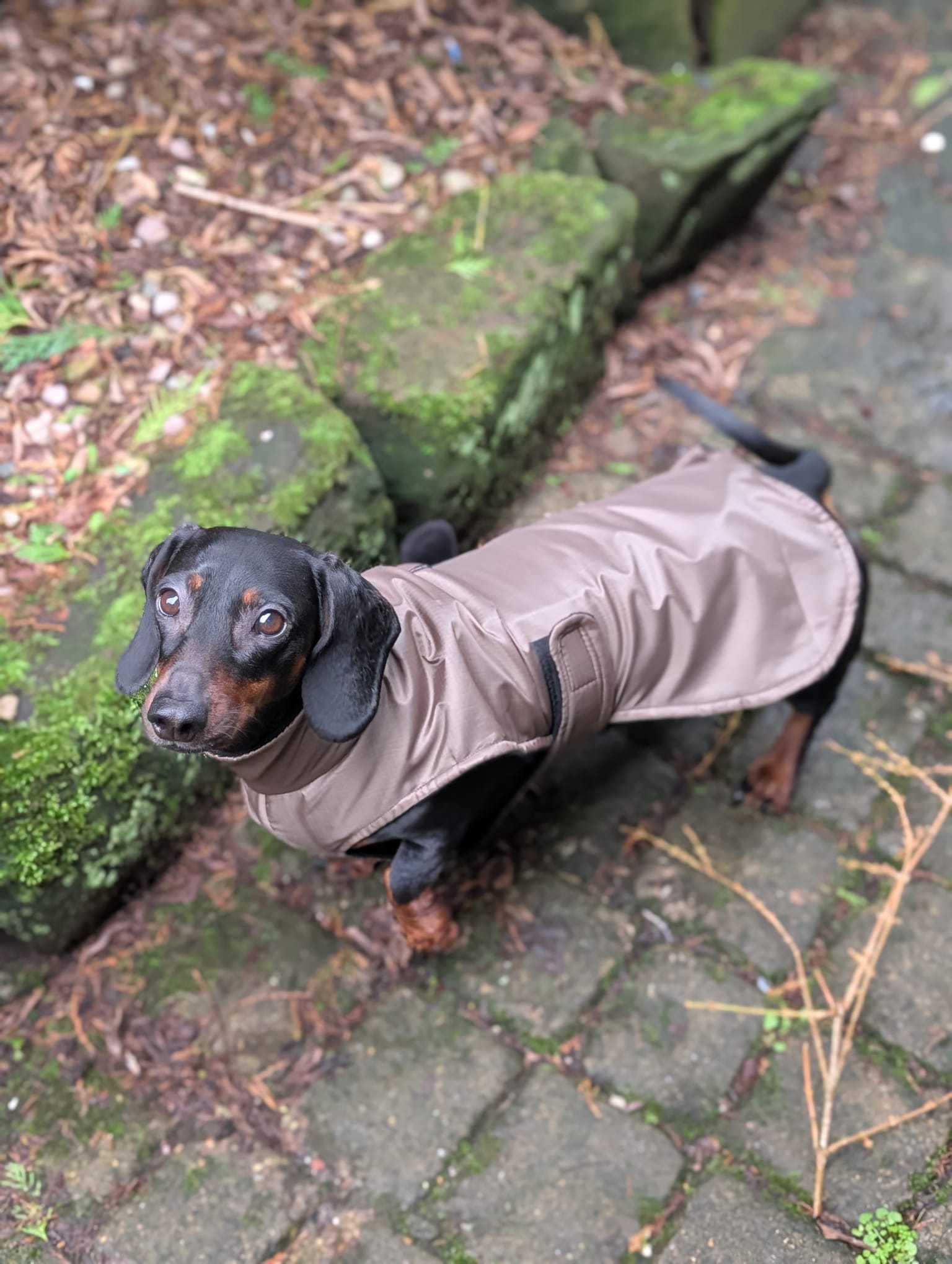 Lightweight raincoat