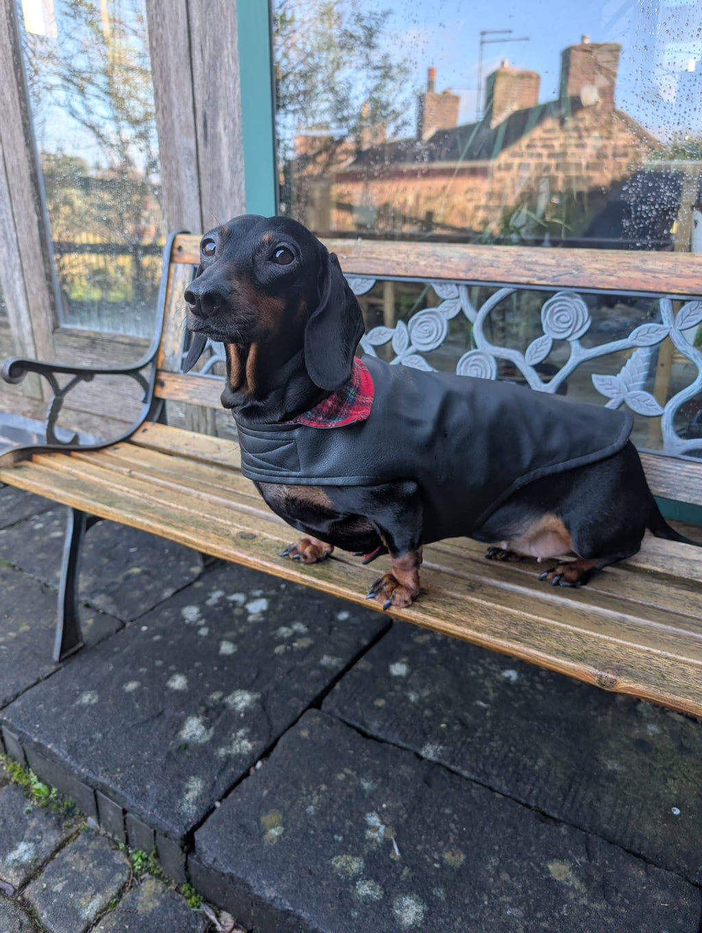 Faux leather dog coat with soft fleece lining