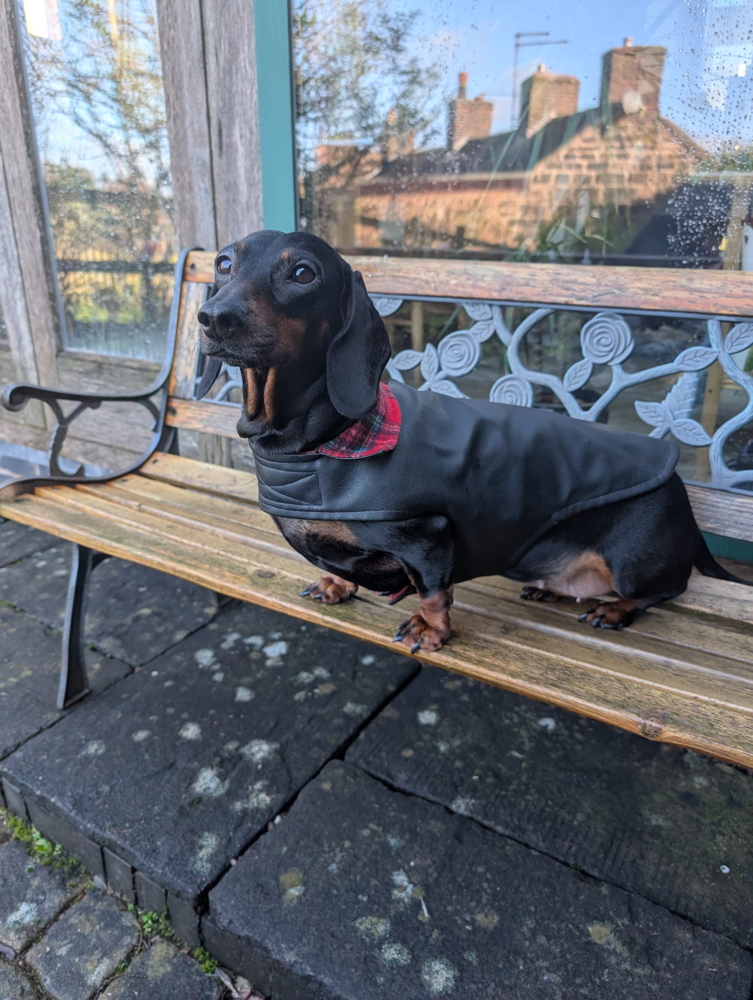 Faux leather dog coat with soft fleece lining