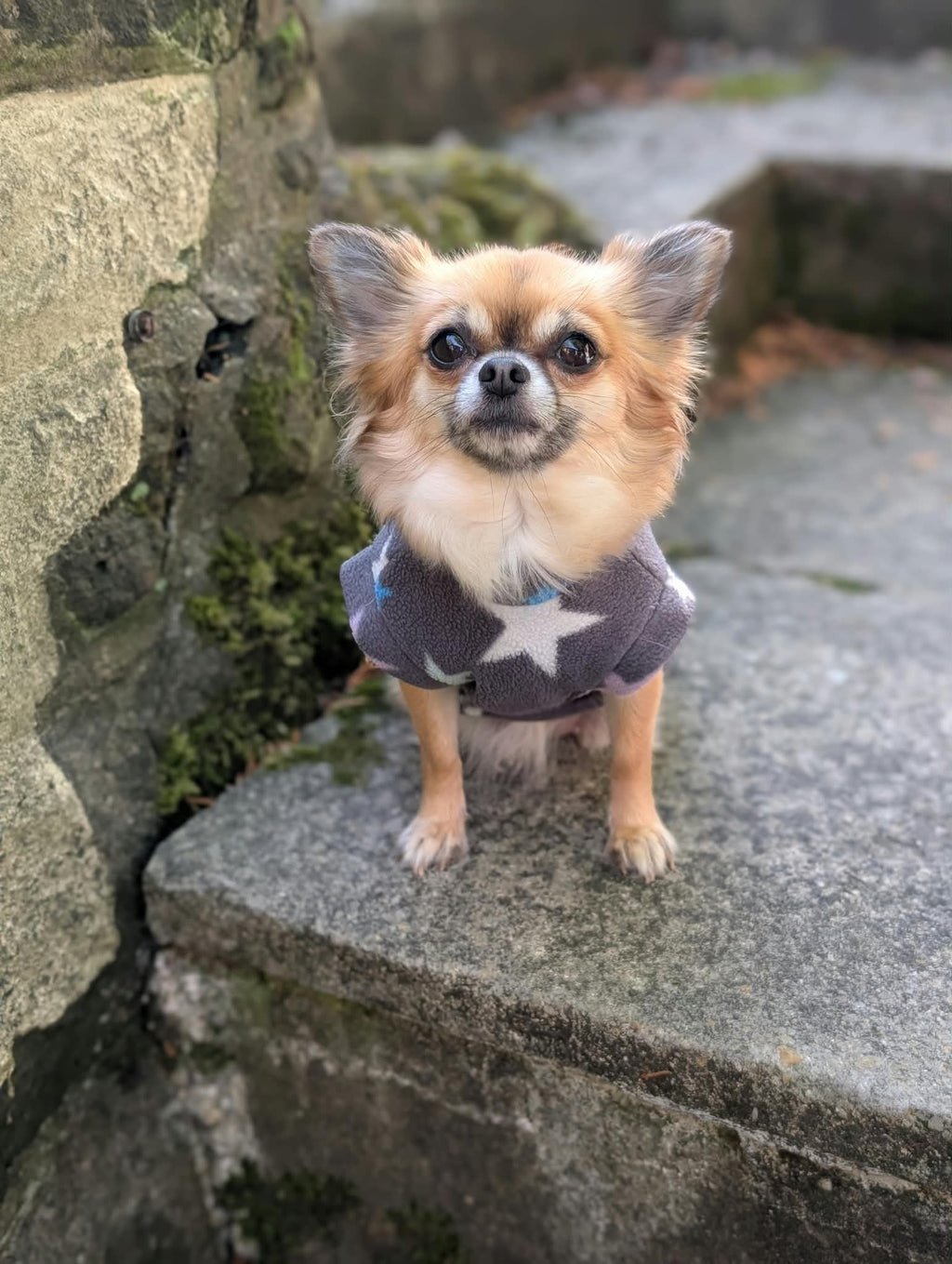 Pattern fleece jumper