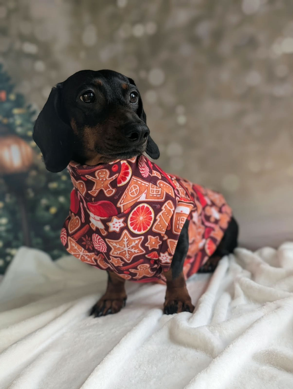 Eco fleece Christmas jumper