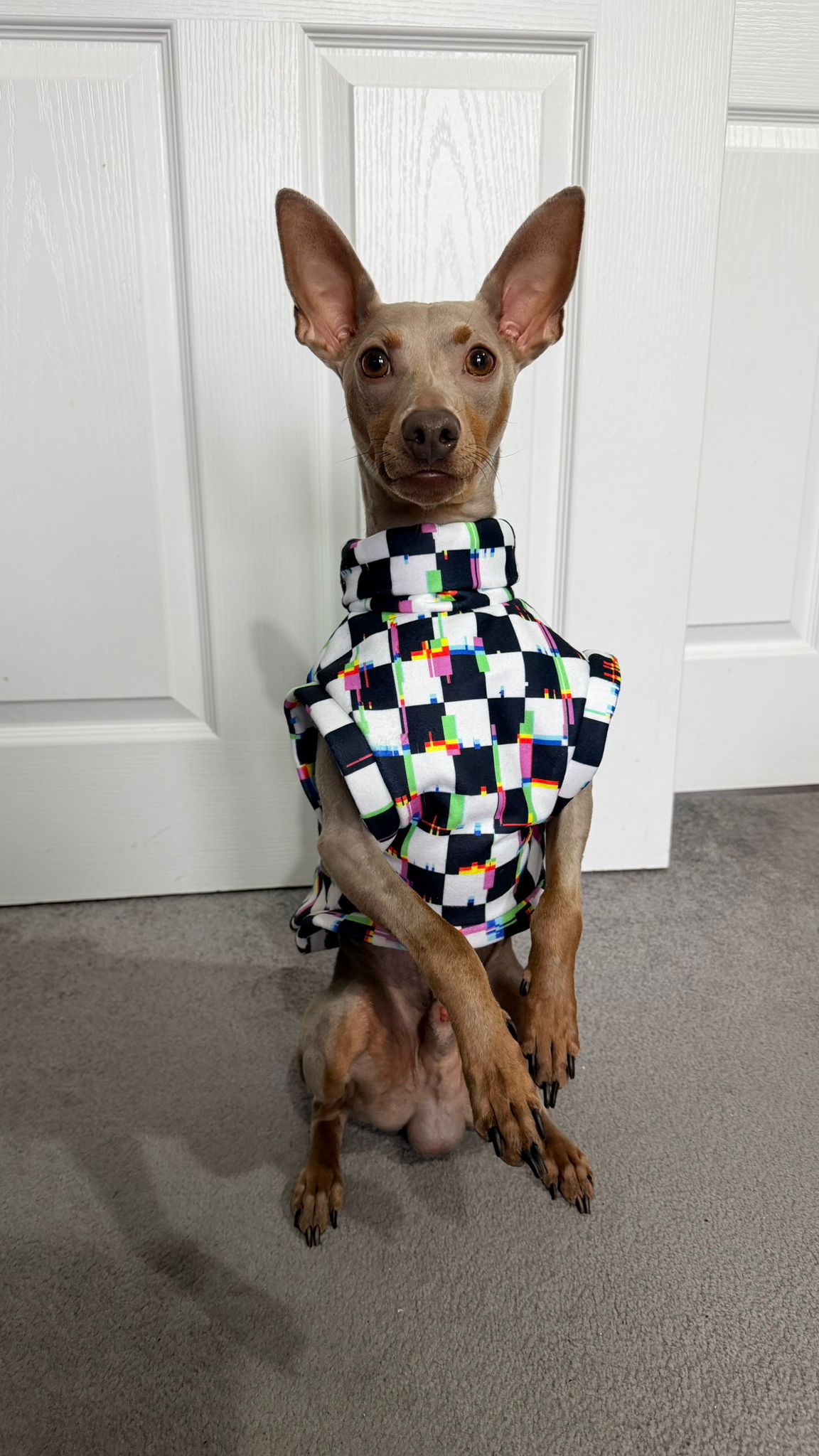 Eco fleece alternative jumper