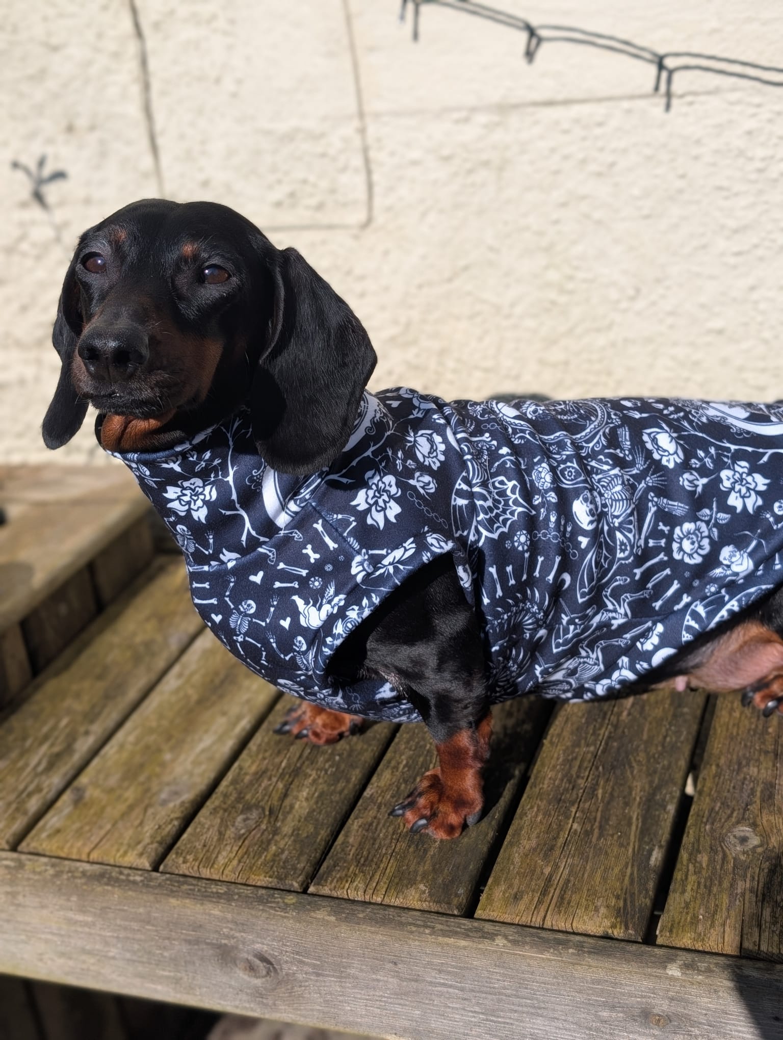 Eco fleece alternative jumper