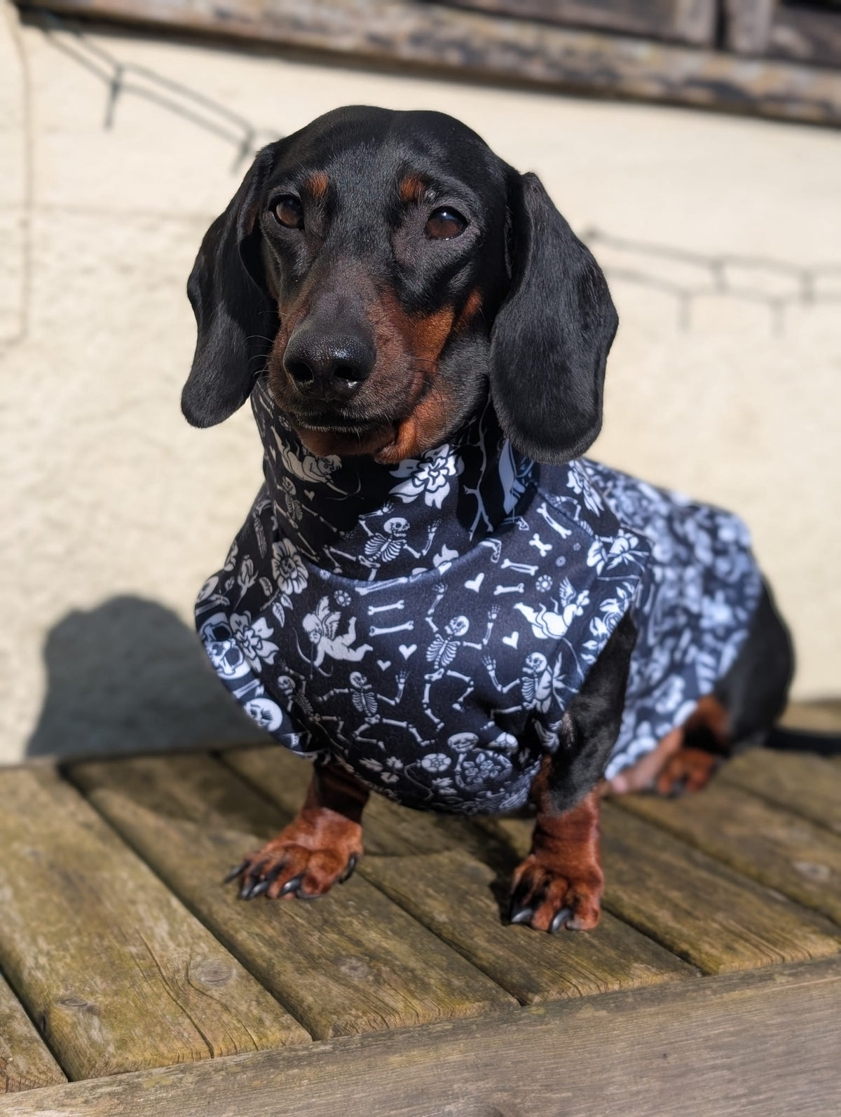 Eco fleece alternative jumper