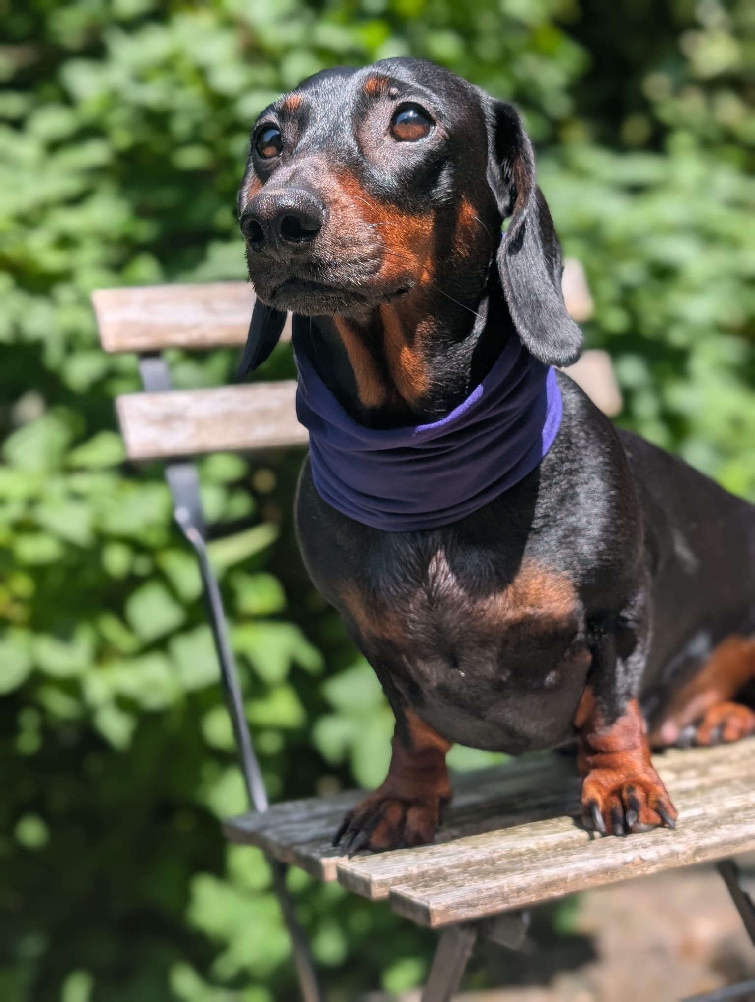 Cooling snood