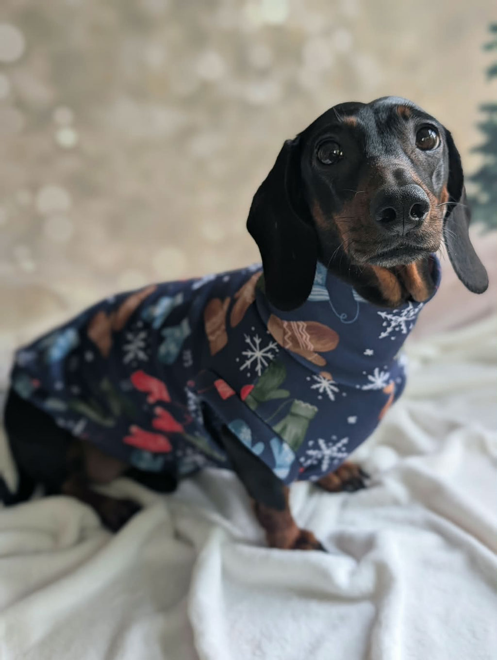 Winter eco fleece jumpers