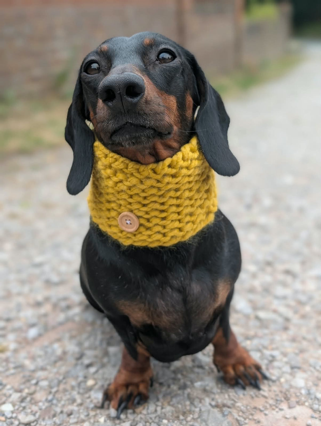 Chunky knit snood