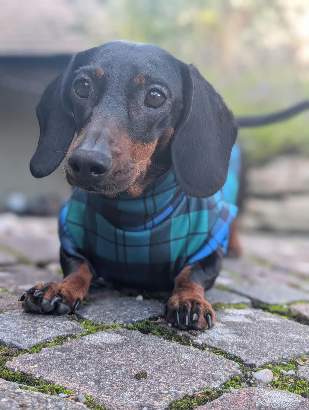 Tartan eco fleece collection