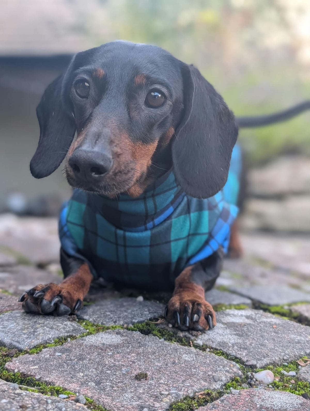 Tartan eco fleece collection