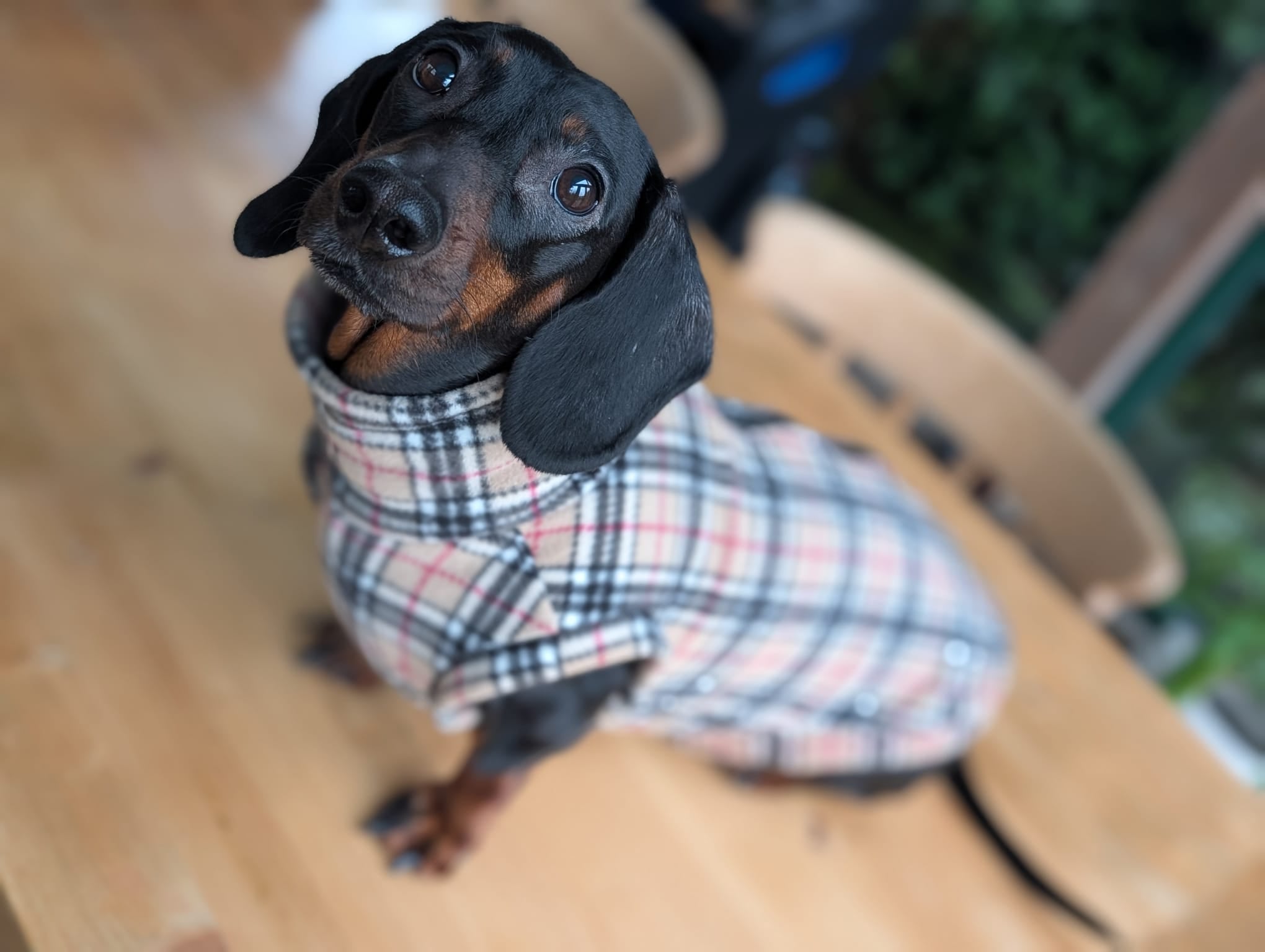 Pattern fleece back zip jumper