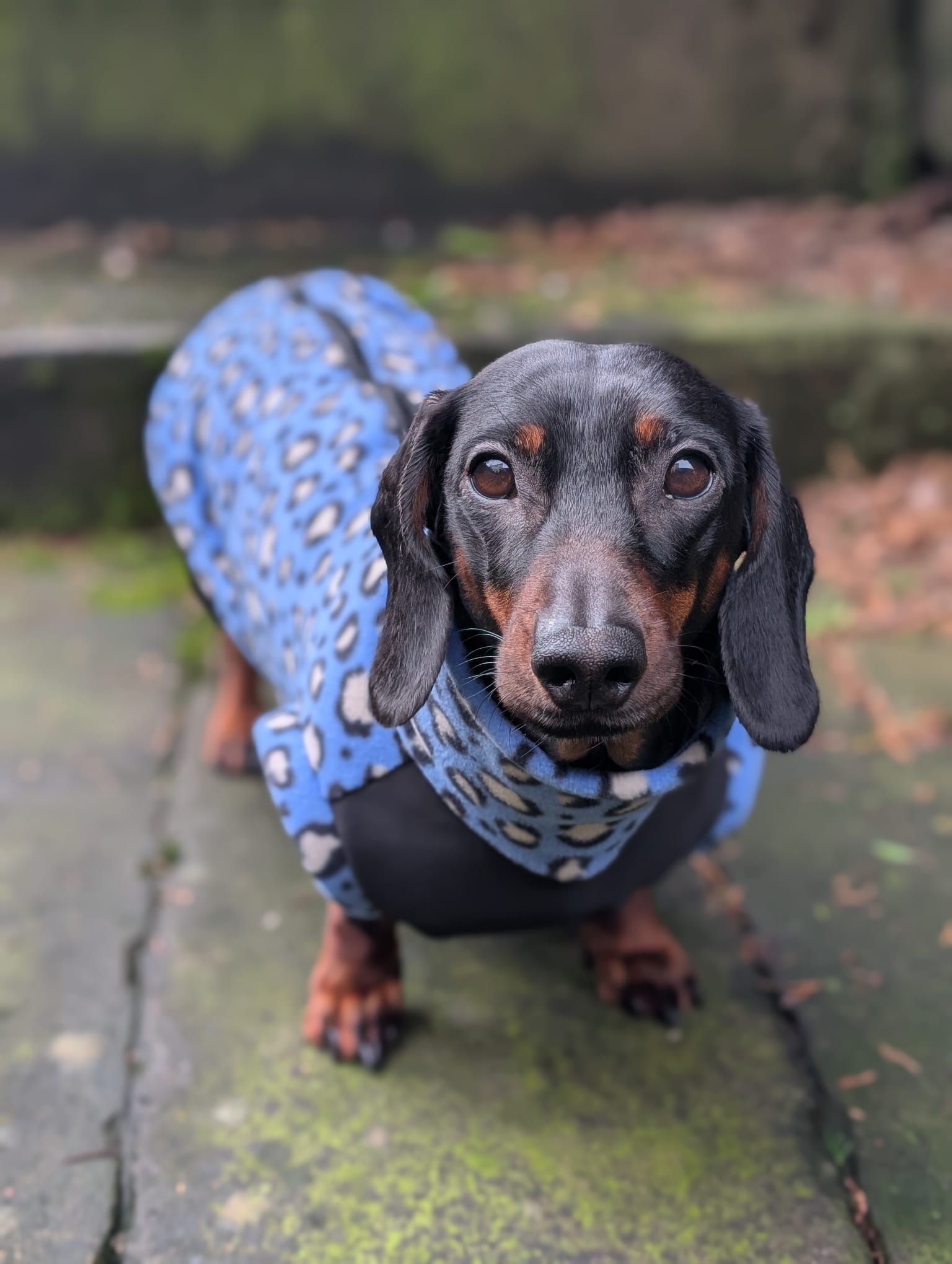 Pattern fleece adventure time jumper