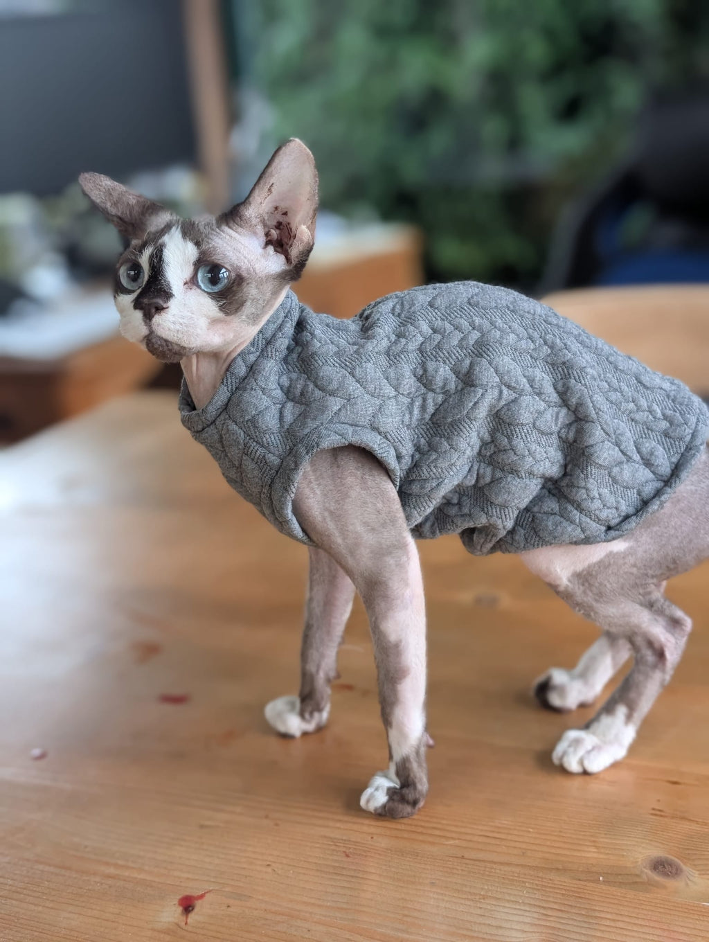 Cable knit cat jumper
