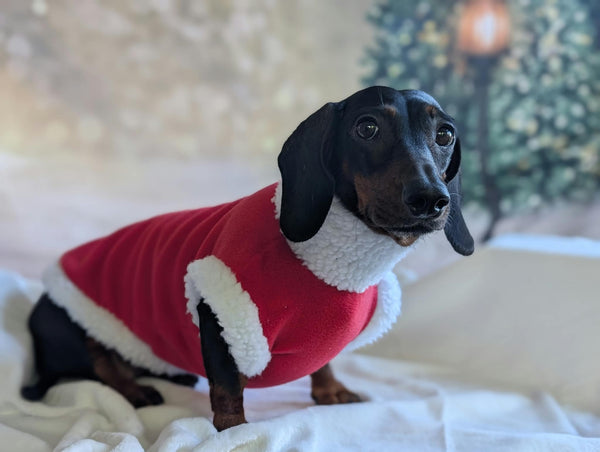 Santa jumper