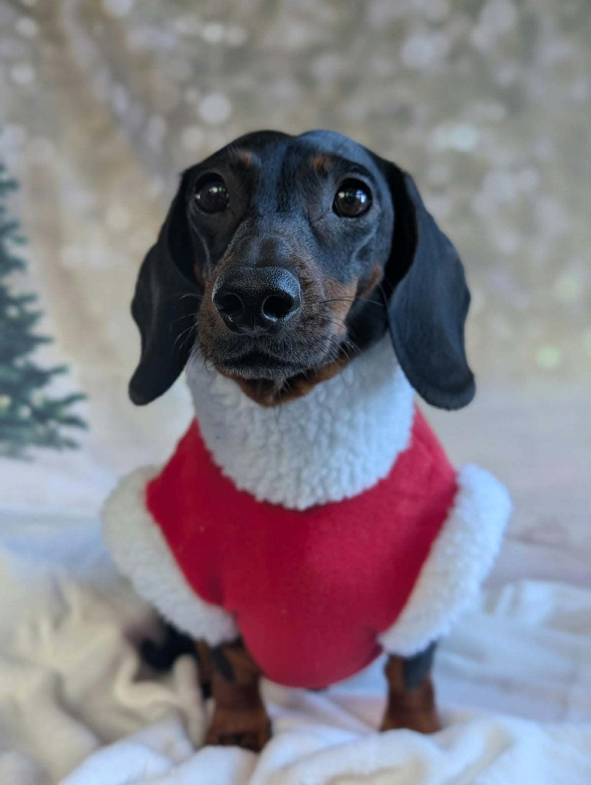 Santa jumper