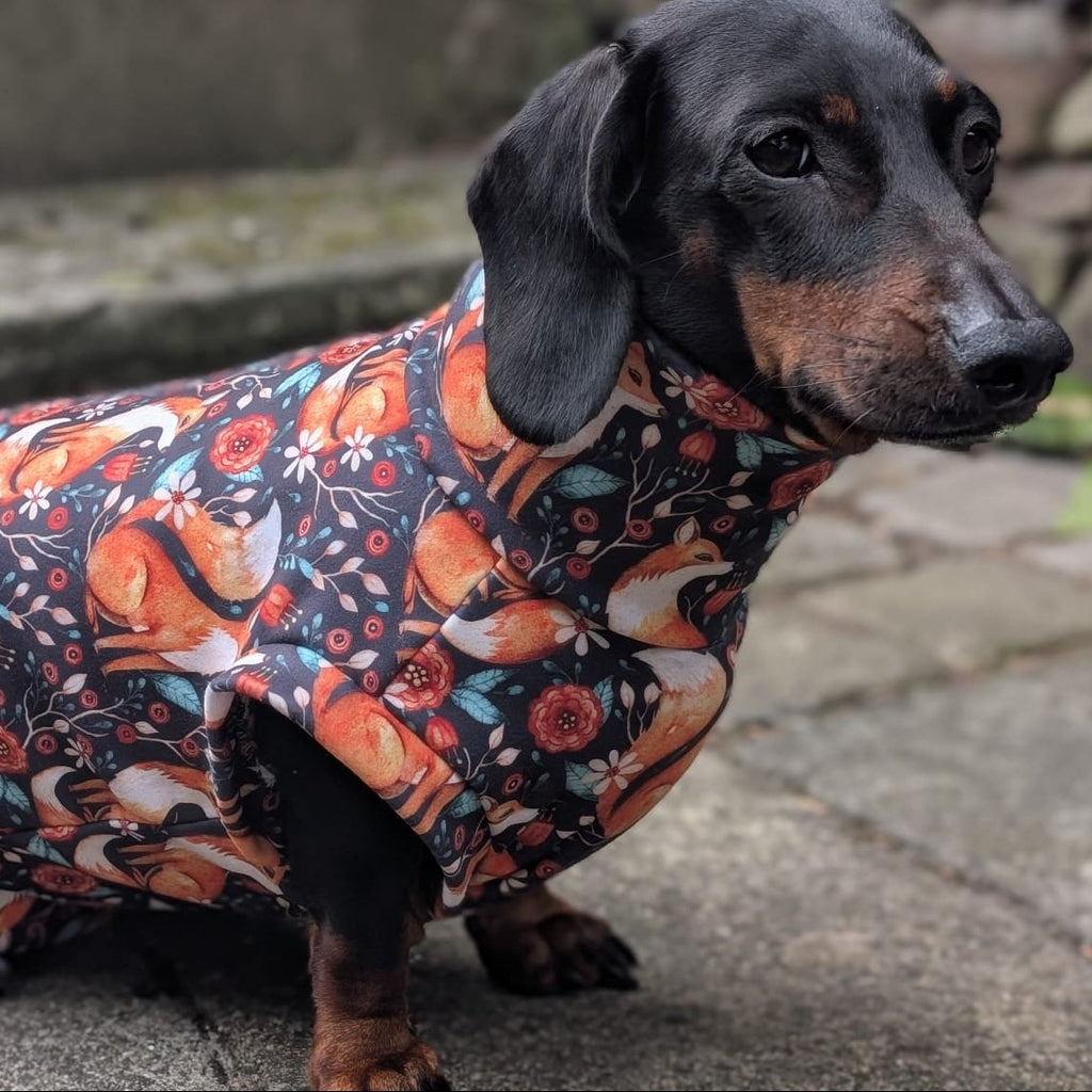Autumn collection eco fleece