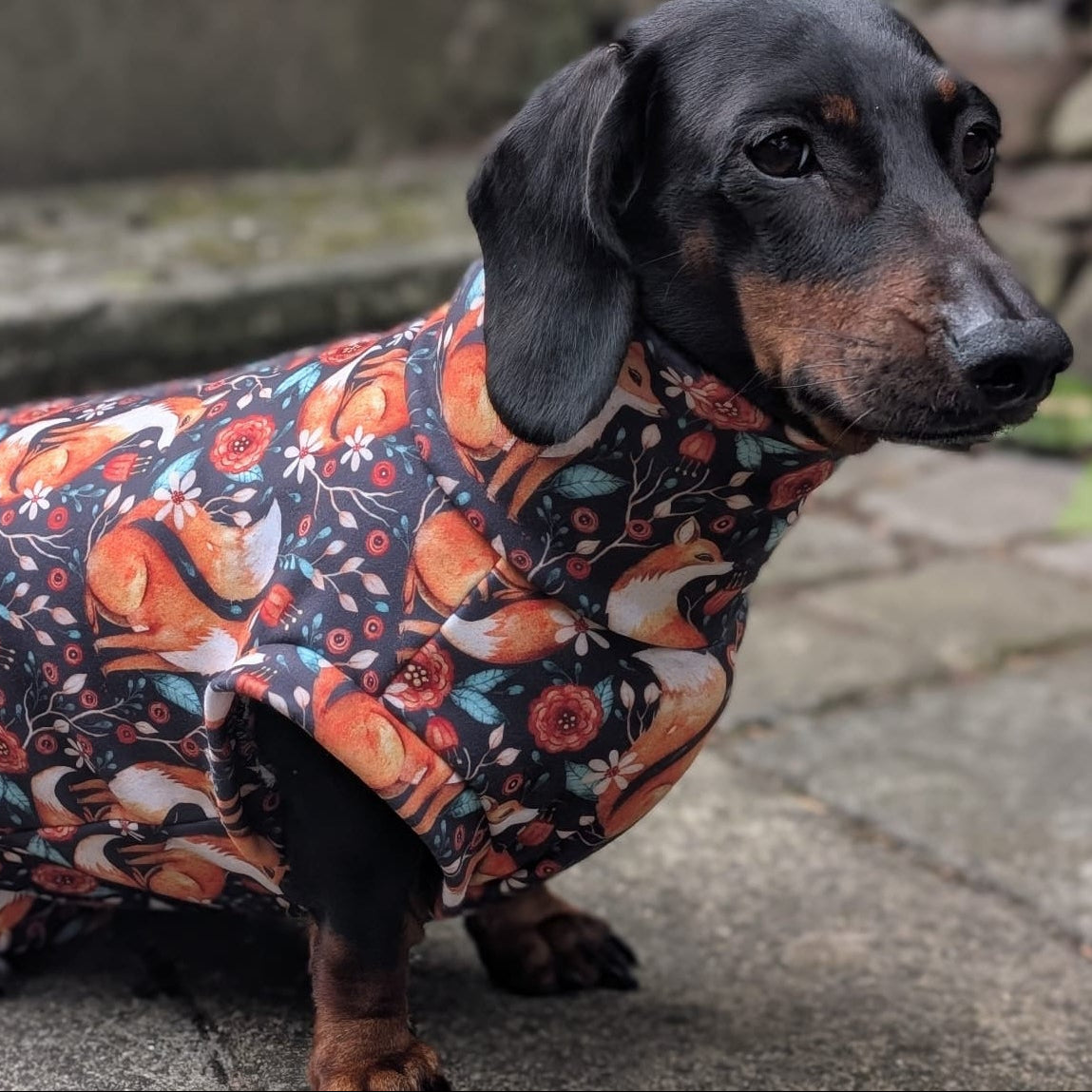 Autumn collection eco fleece
