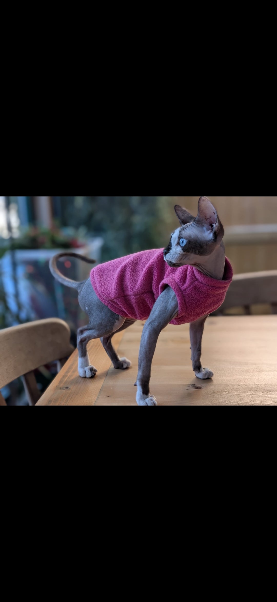 Cat fleece jumper