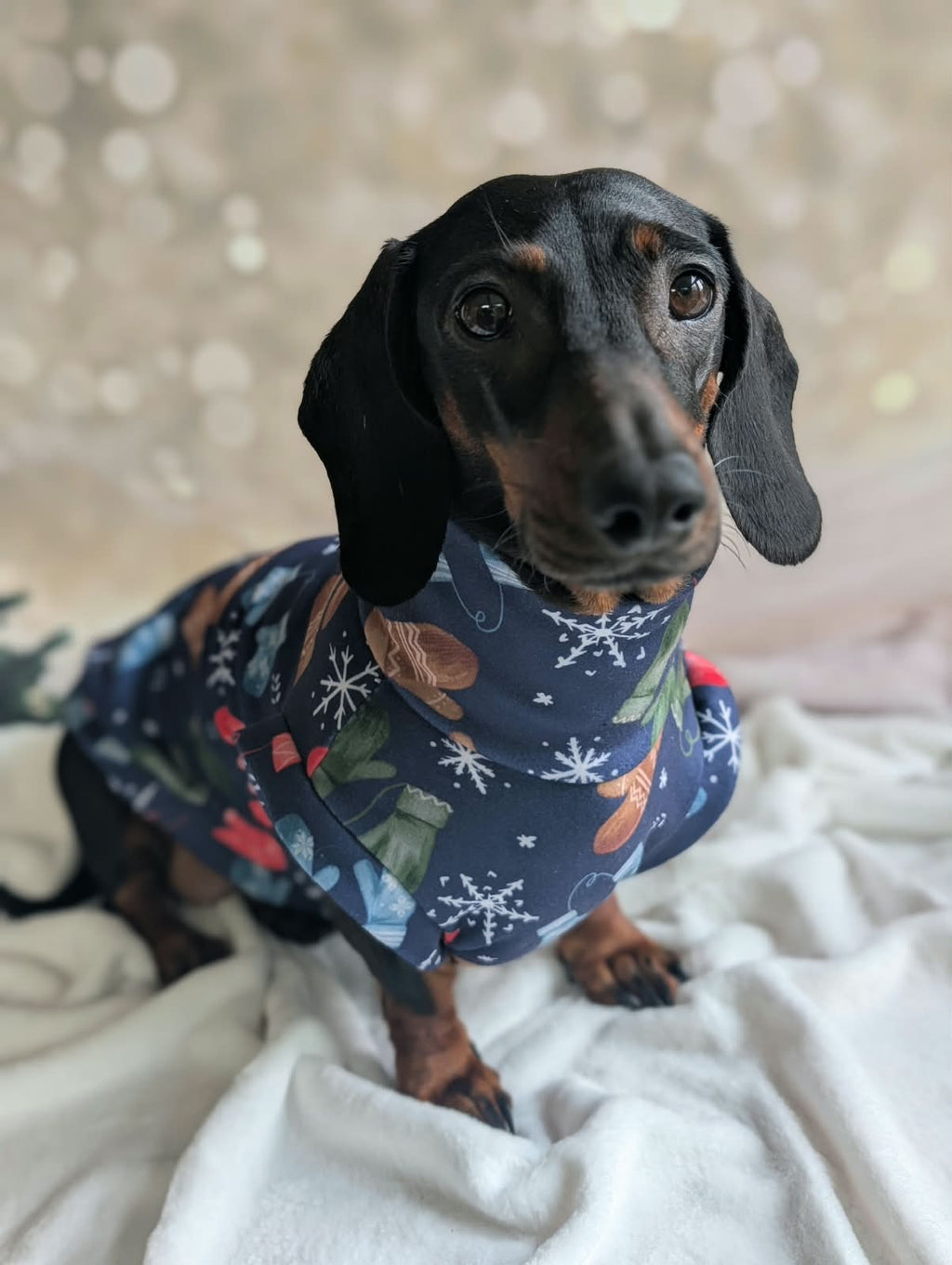 Winter eco fleece jumpers