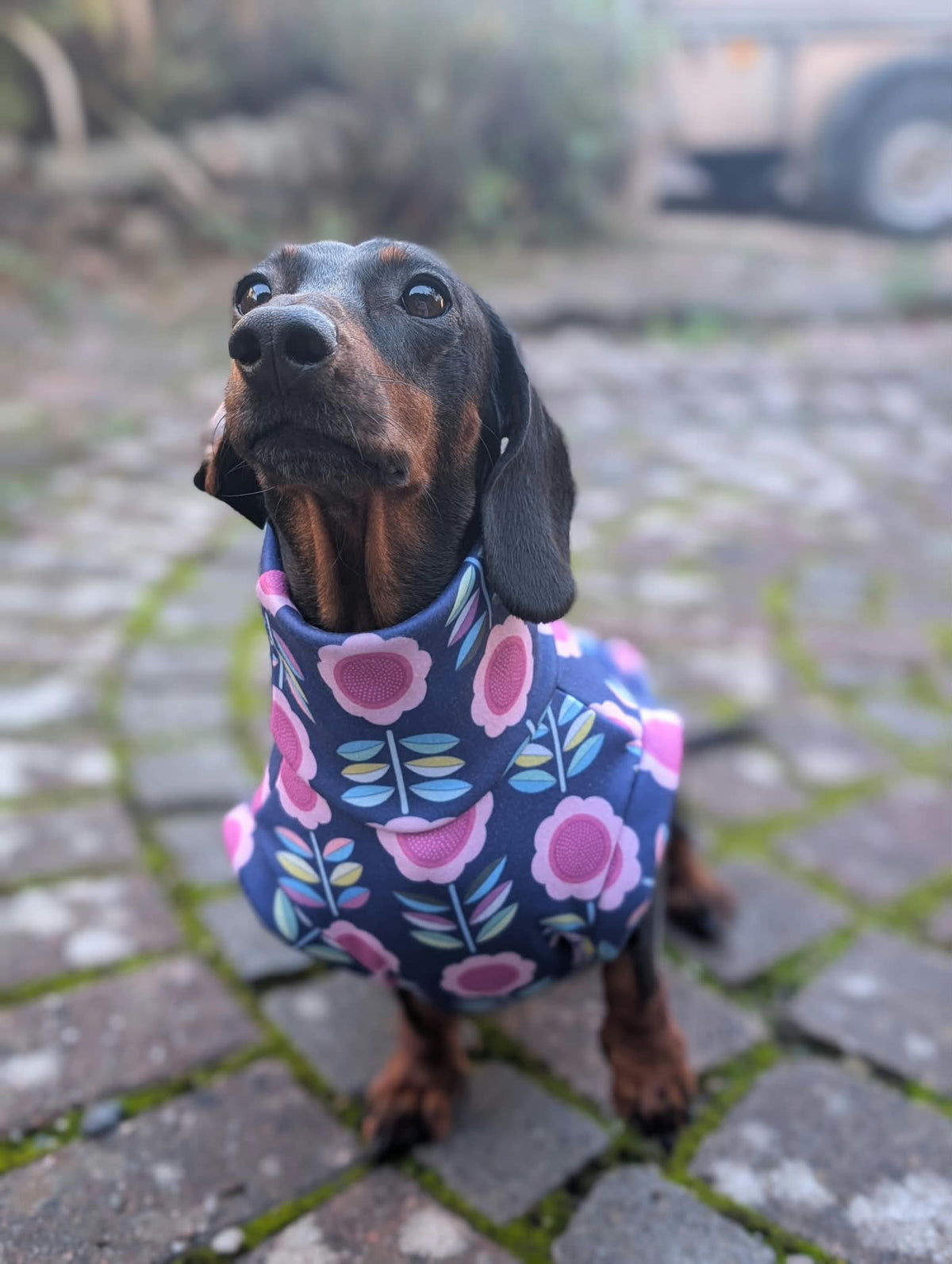 Retro eco fleece collection