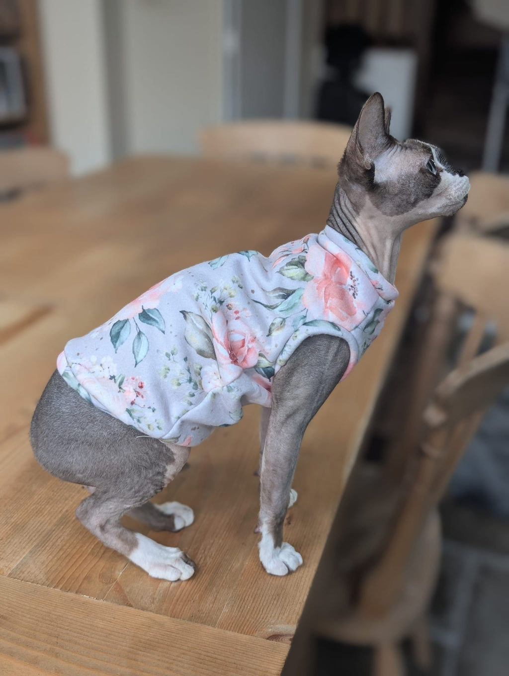 Cat floral collection eco fleece