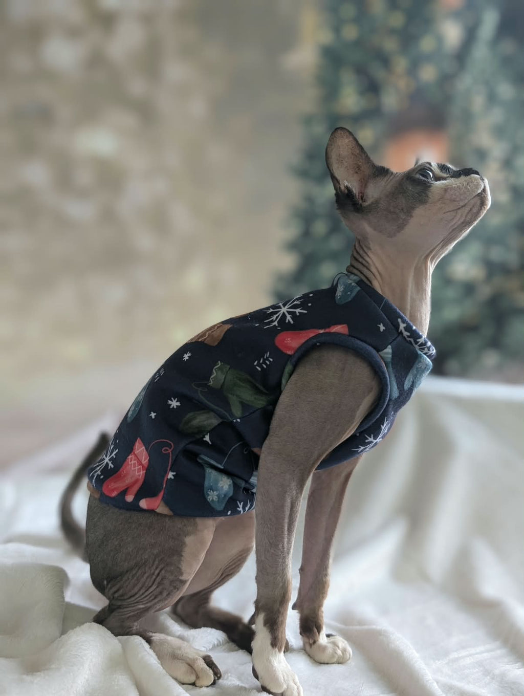 Cat winter jumper