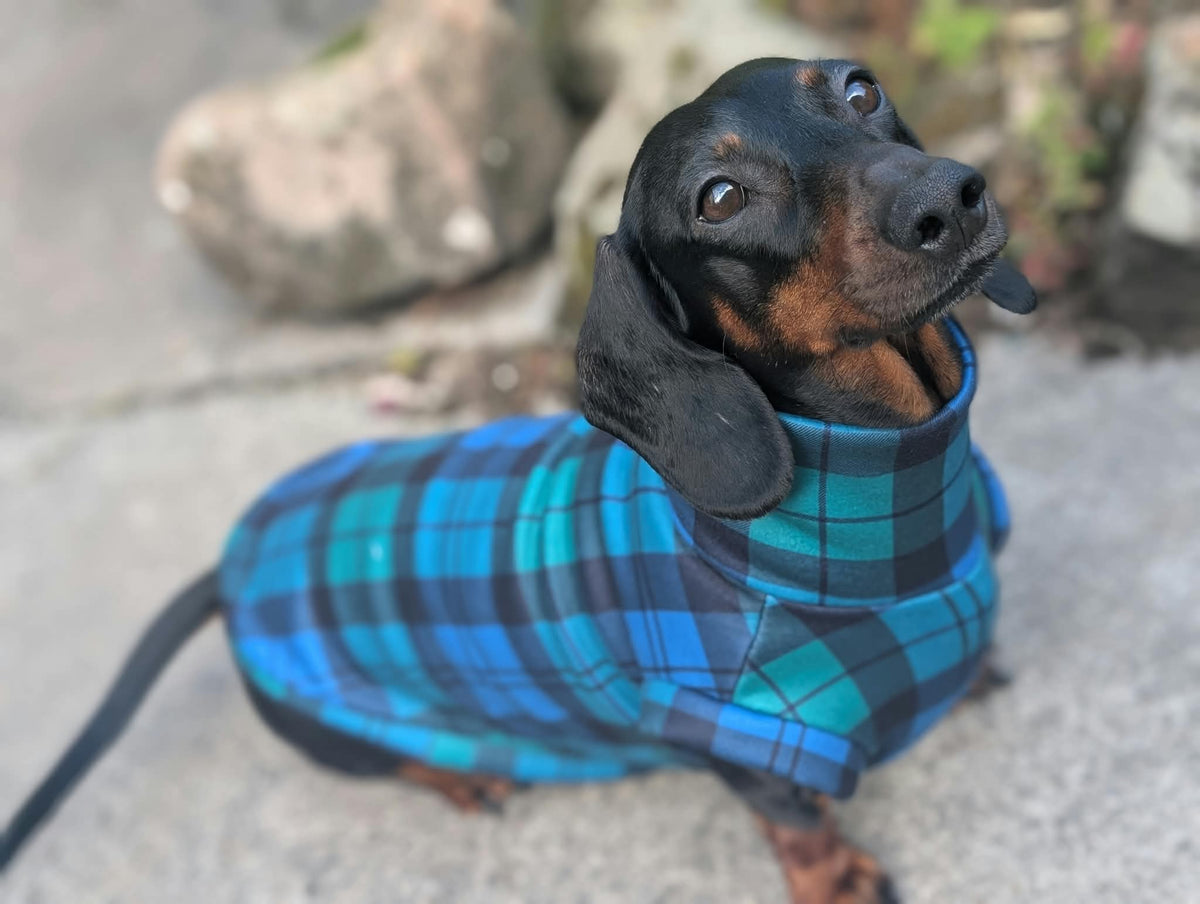 Tartan eco fleece collection