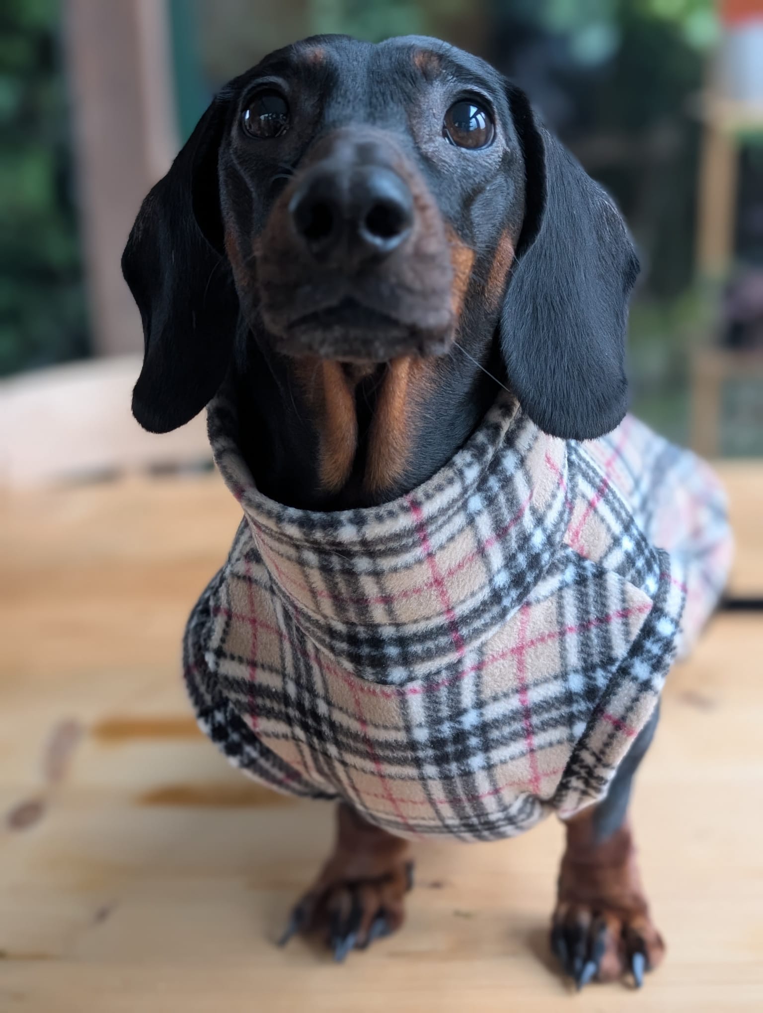 Pattern fleece back zip jumper