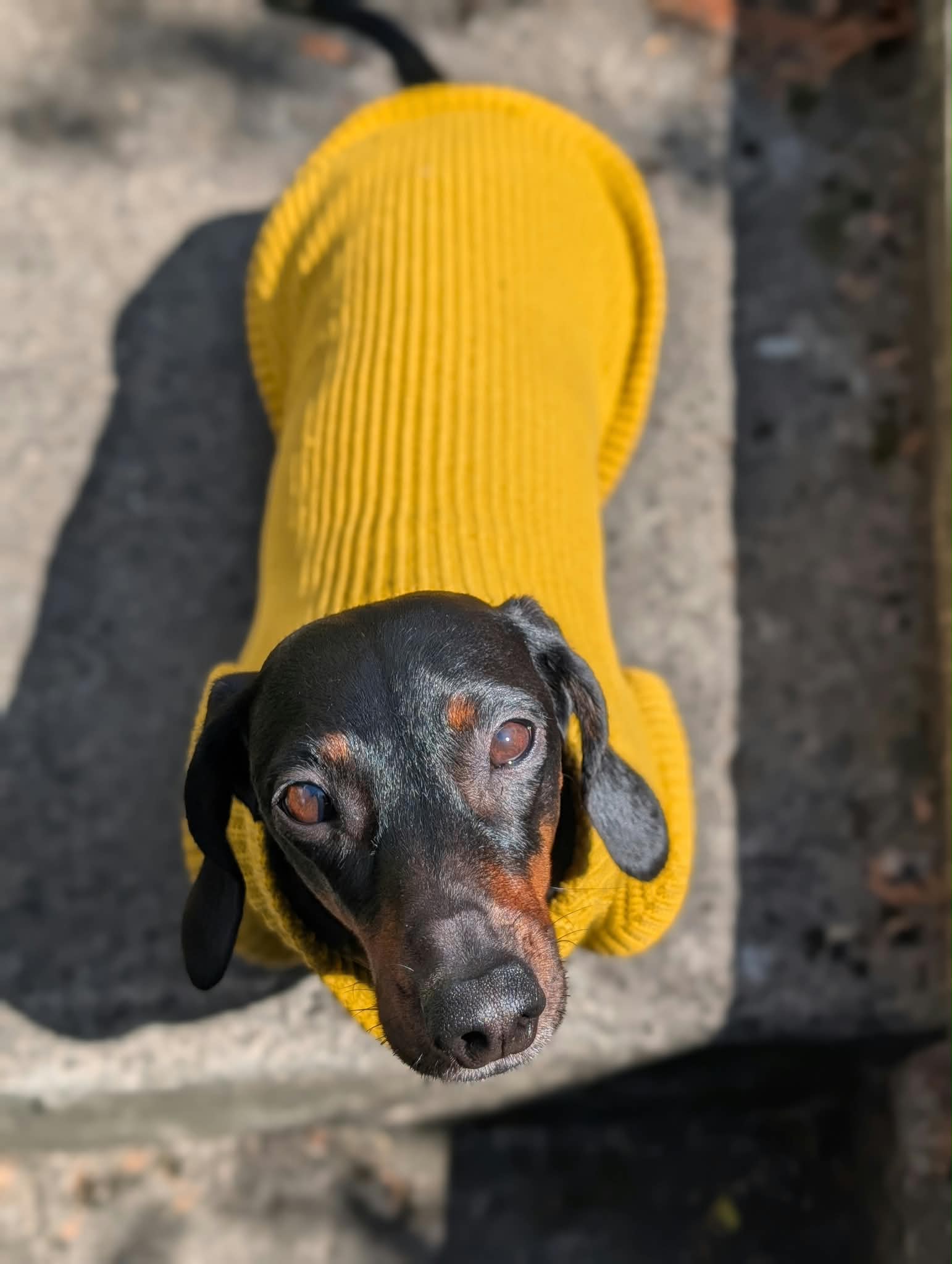 Chunky knit jumper