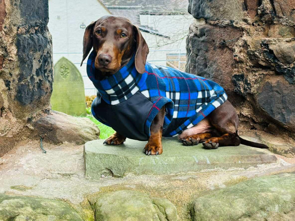 Pattern fleece adventure time jumper