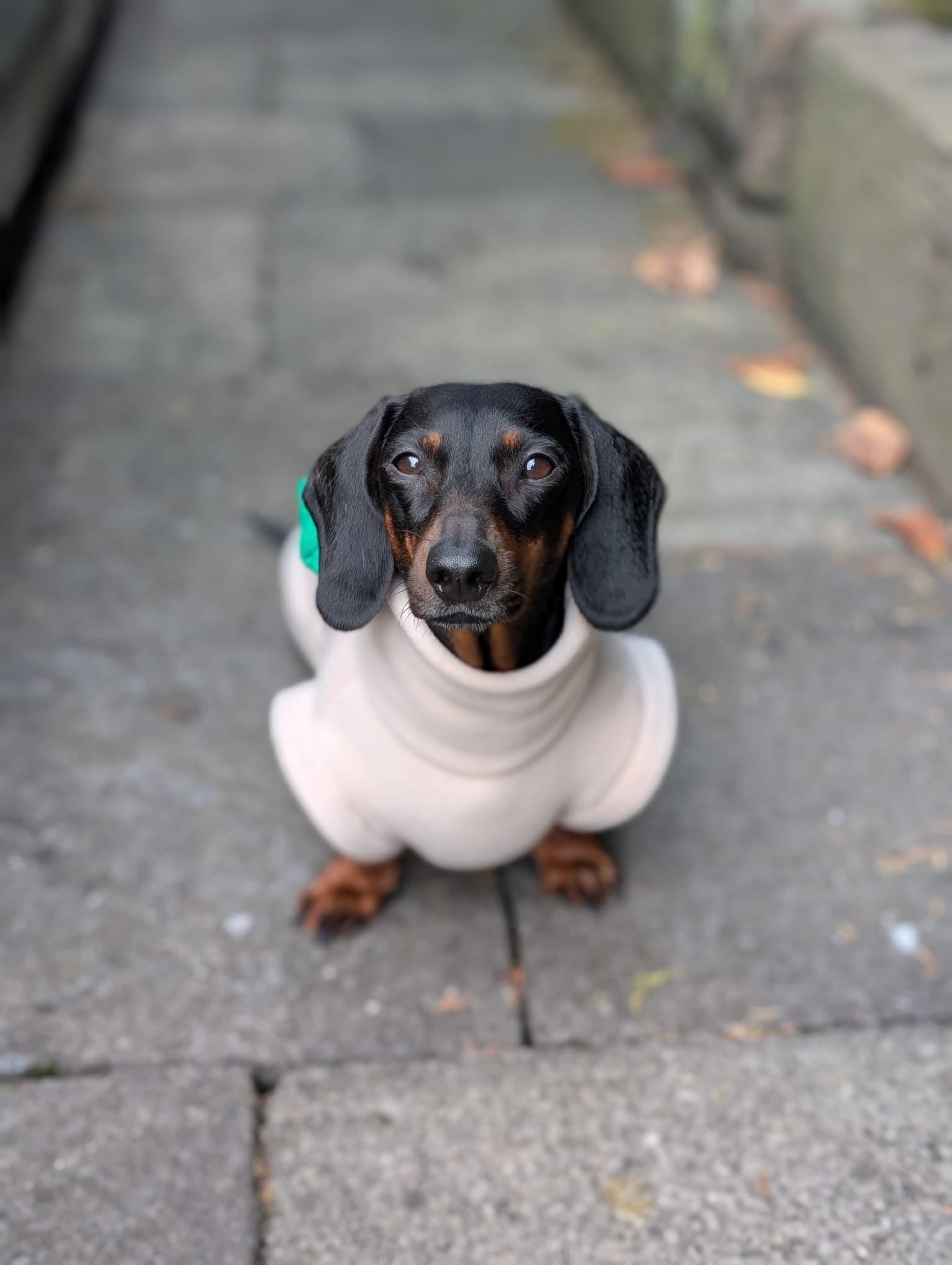 Hot dog jumper