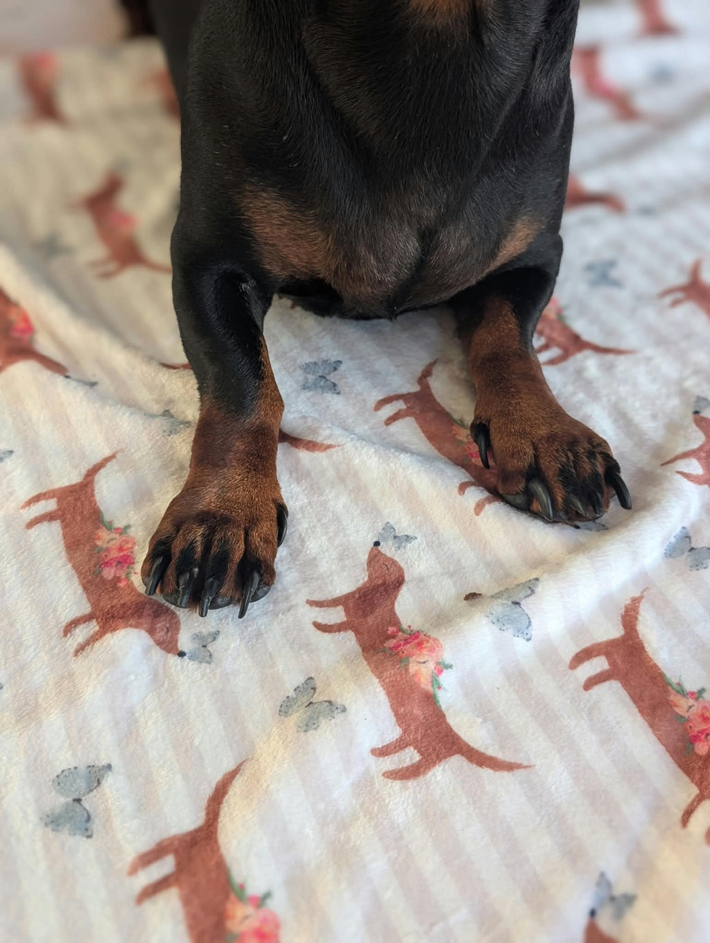 Personalised pet blankets