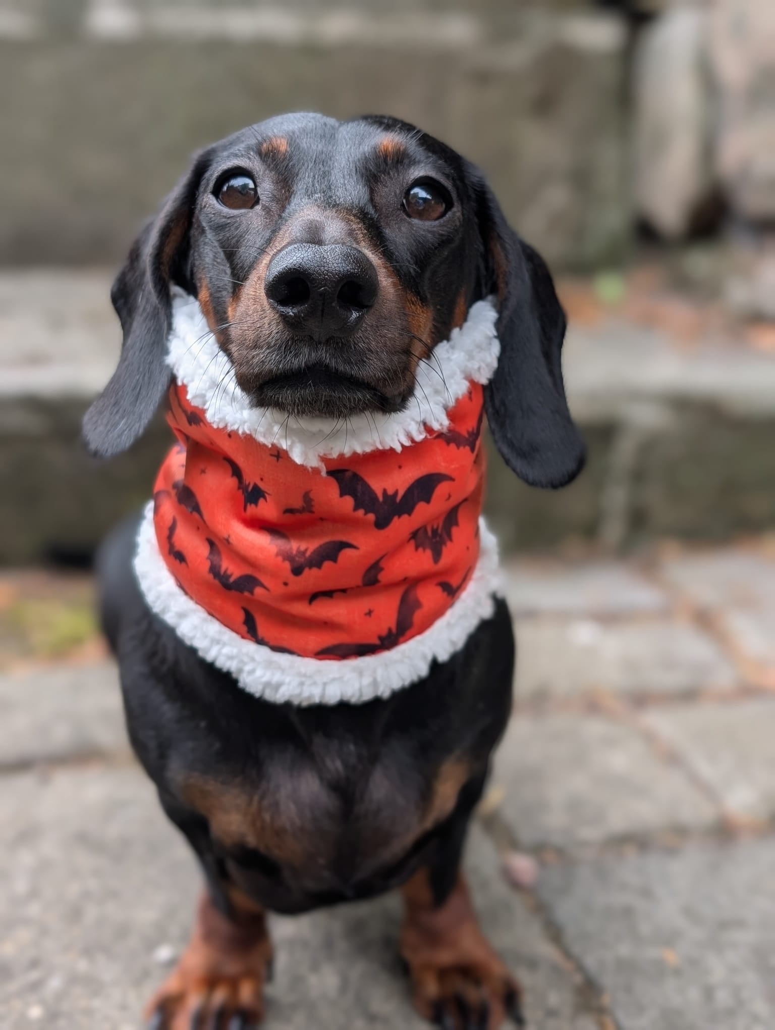 Sherpa lined Halloween snoods