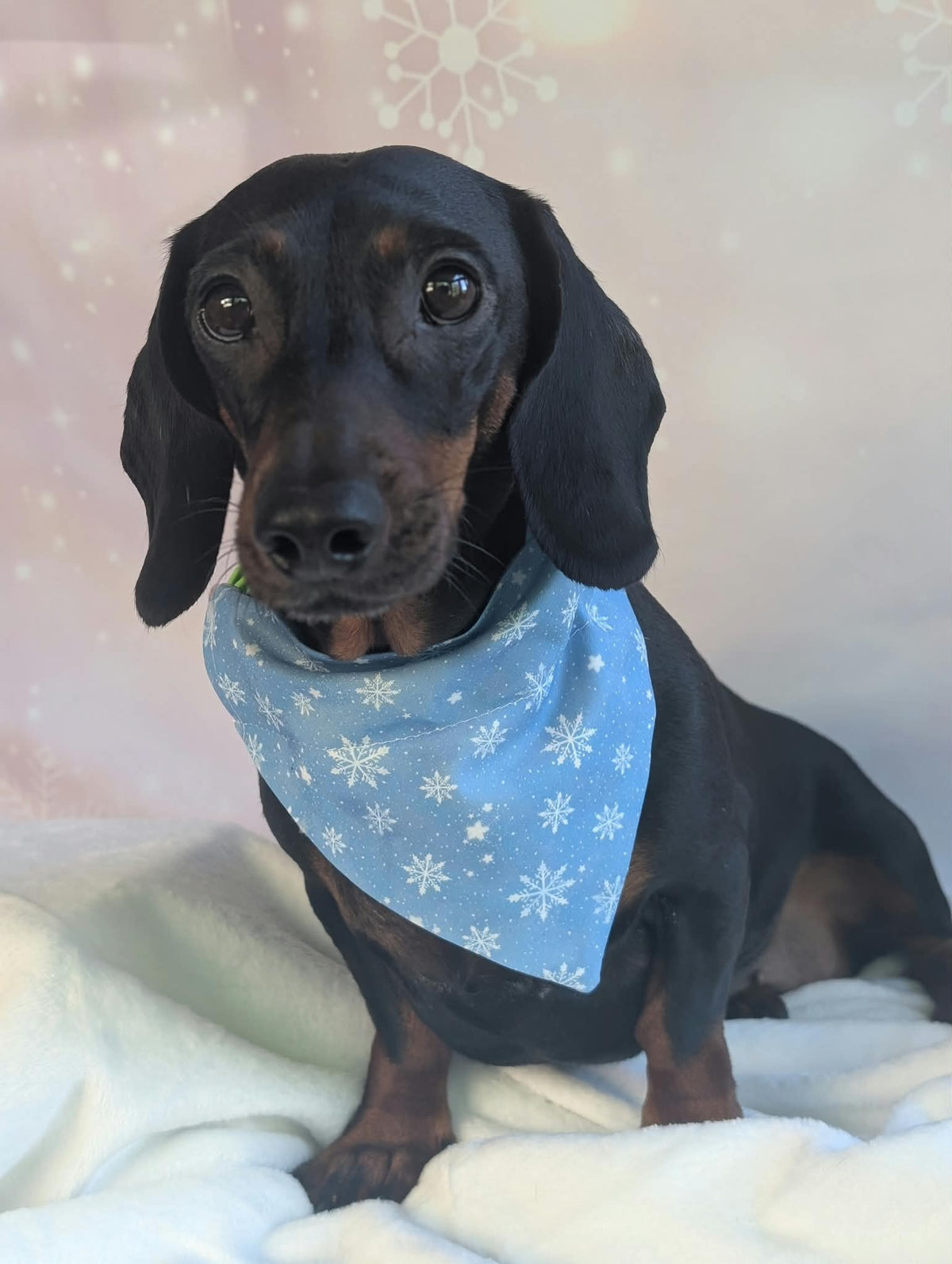 Christmas cotton accessories
