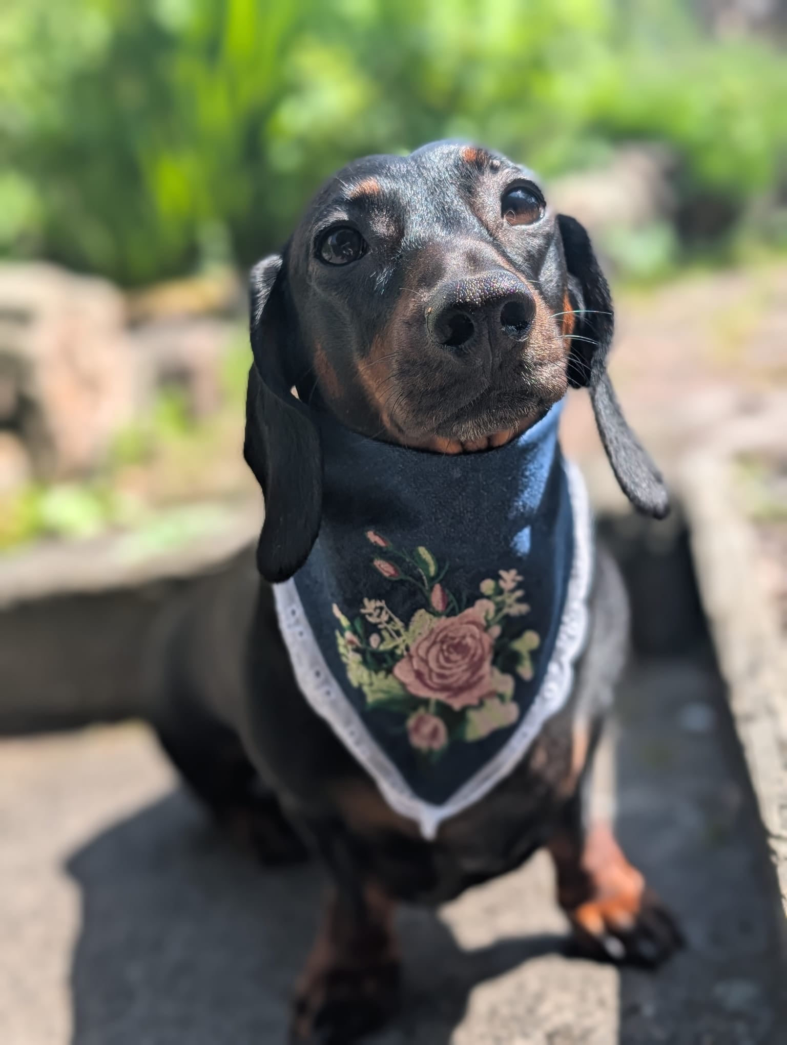Floral embroidery denim bandanas