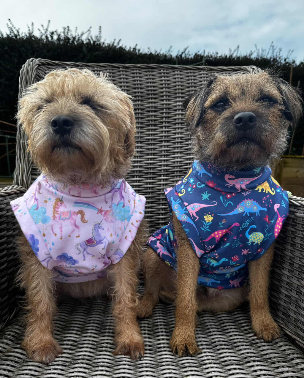 Eco fleece dinosaurs and unicorns jumpers