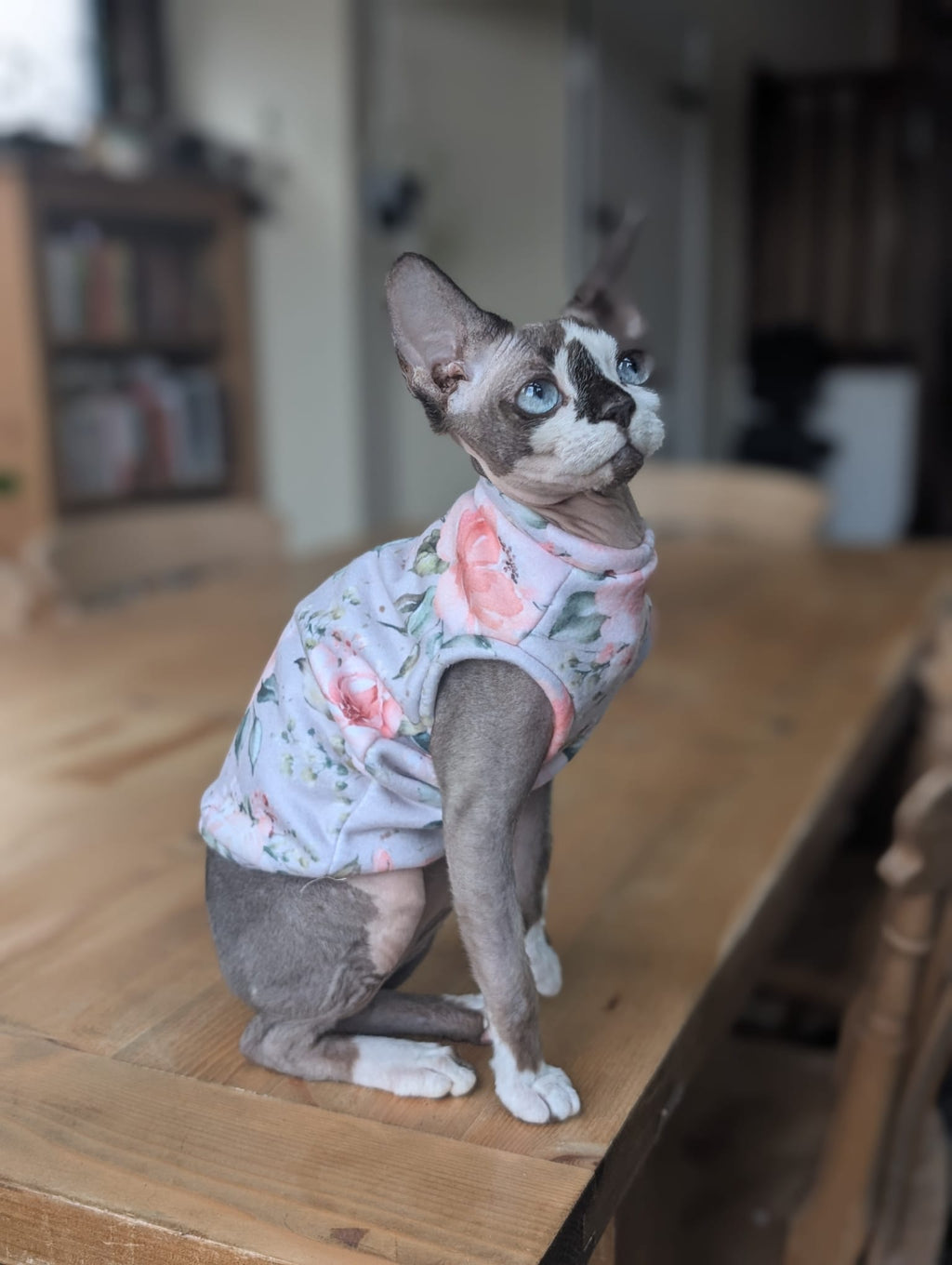 Cat floral collection eco fleece