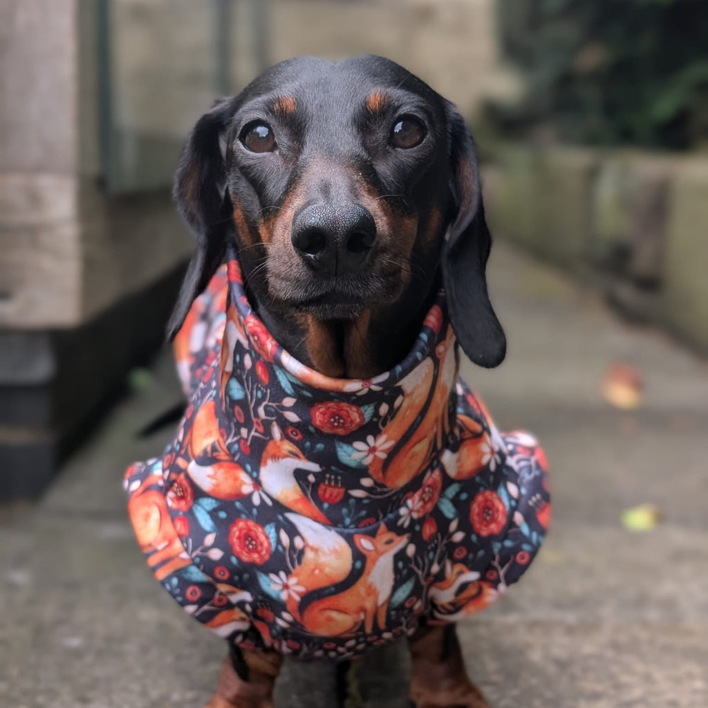 Autumn collection eco fleece