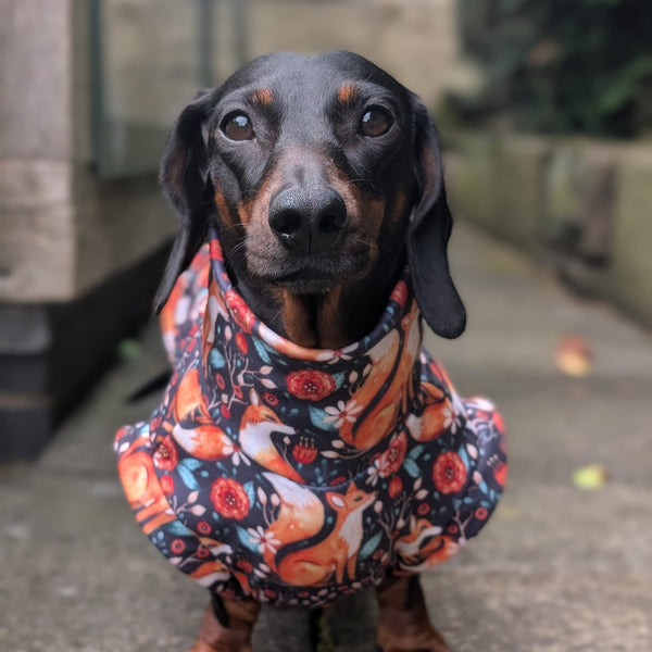 Autumn collection eco fleece