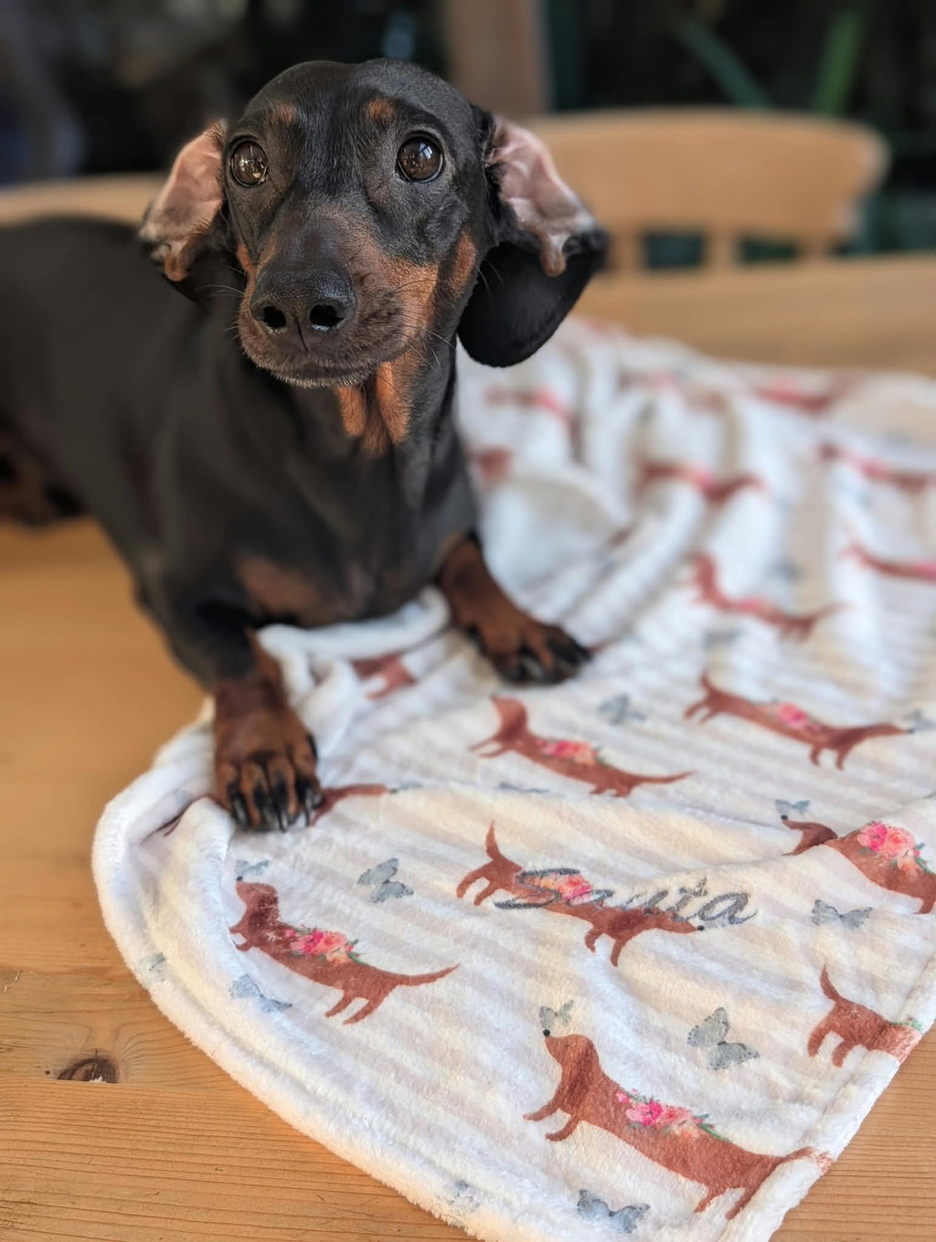Personalised pet blankets
