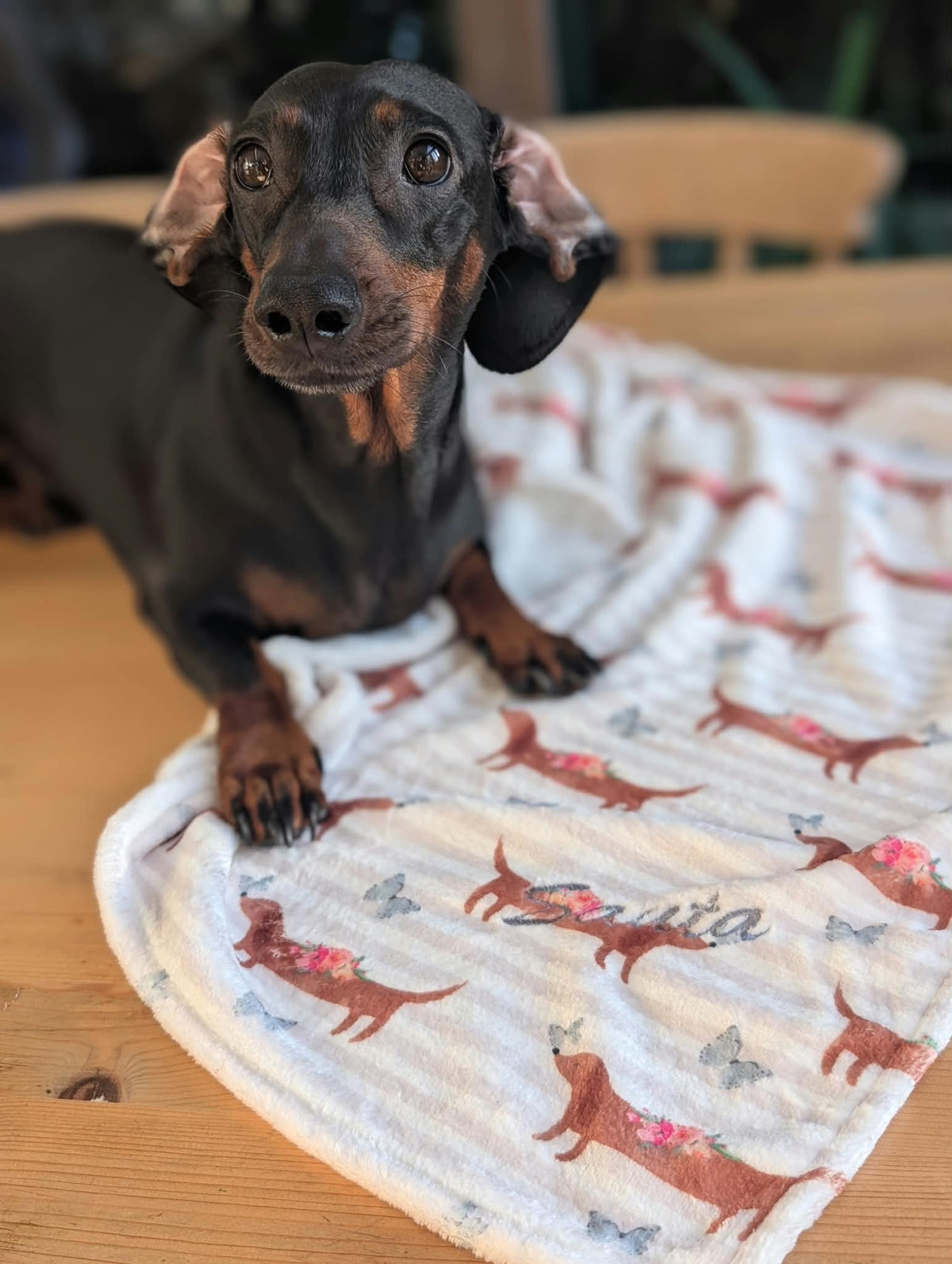 Personalised pet blankets