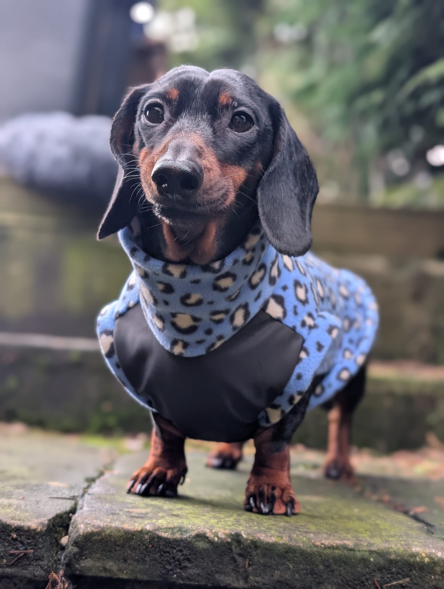 Pattern fleece adventure time jumper