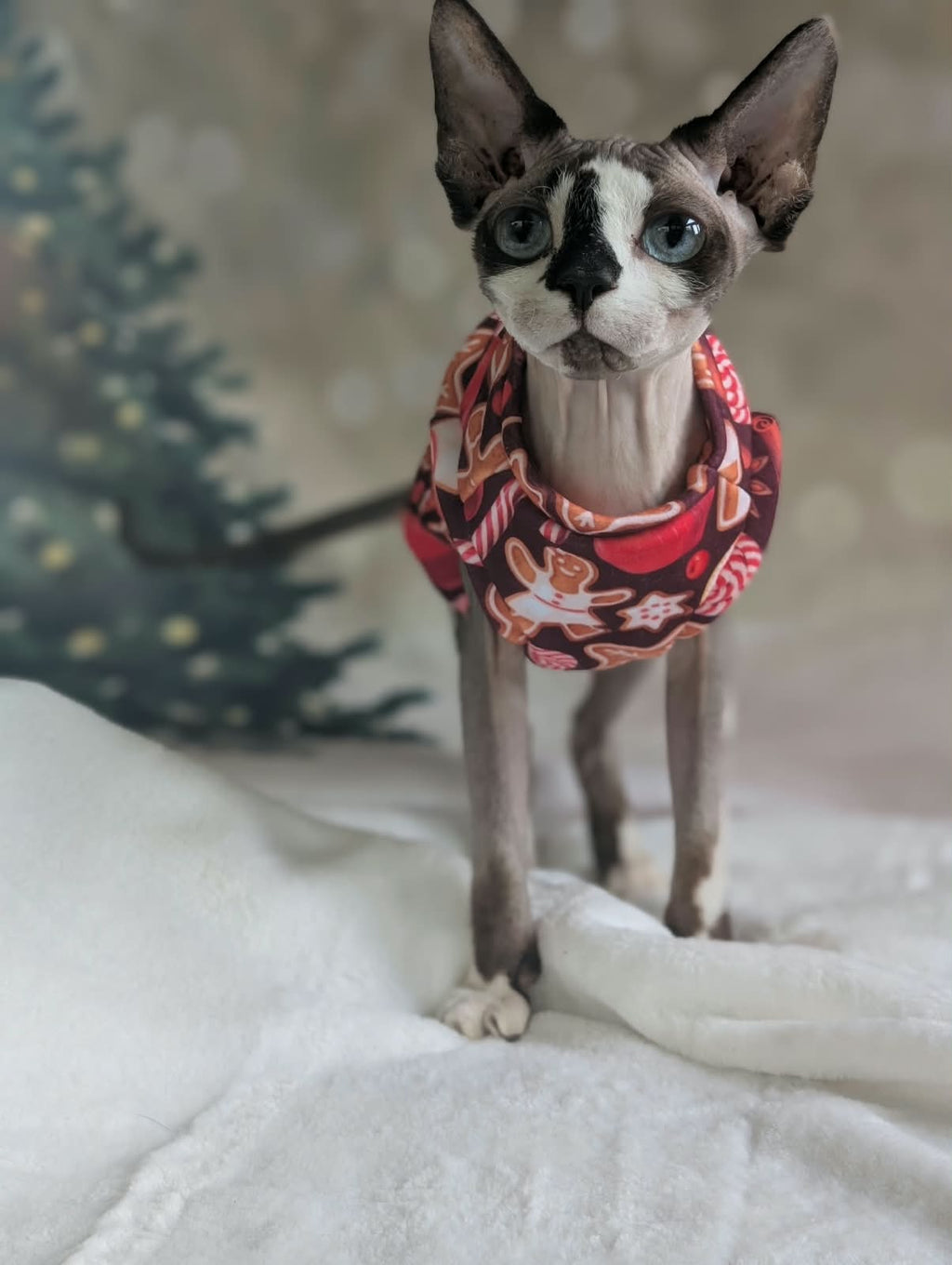 Cat Christmas jumper