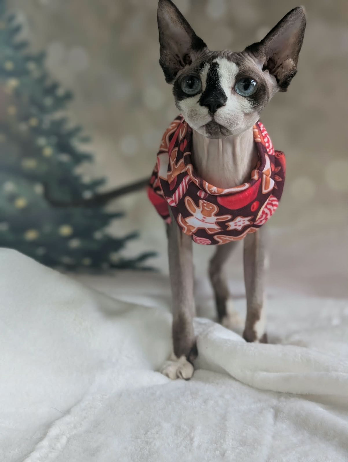Cat Christmas jumper