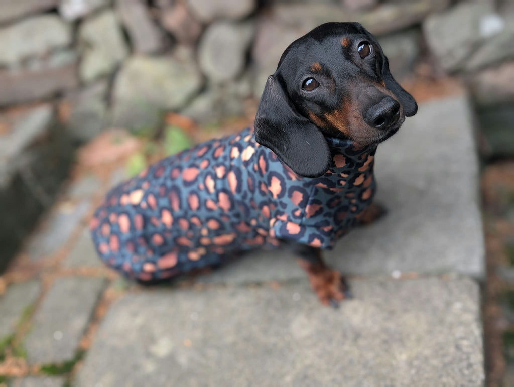 Leopard collection eco fleece jumper