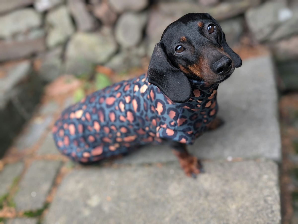 Leopard collection eco fleece jumper