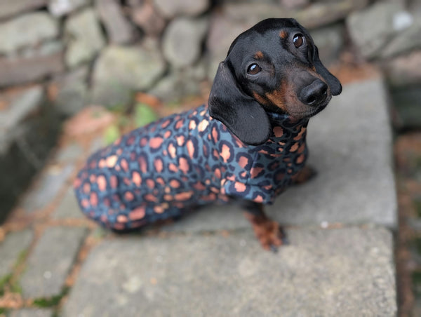 Leopard collection eco fleece jumper