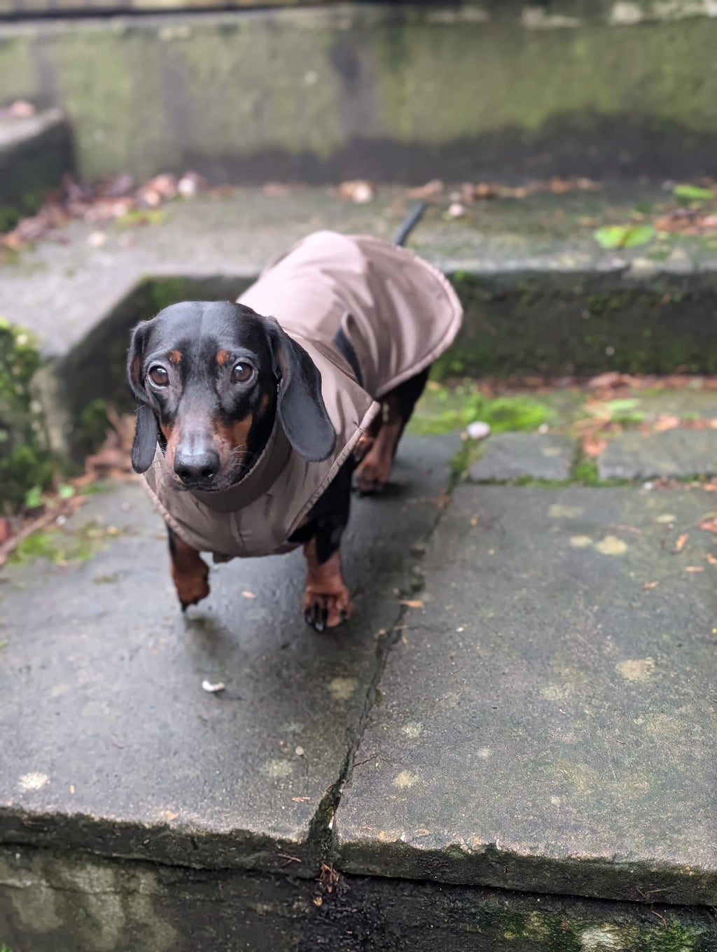 Lightweight raincoat