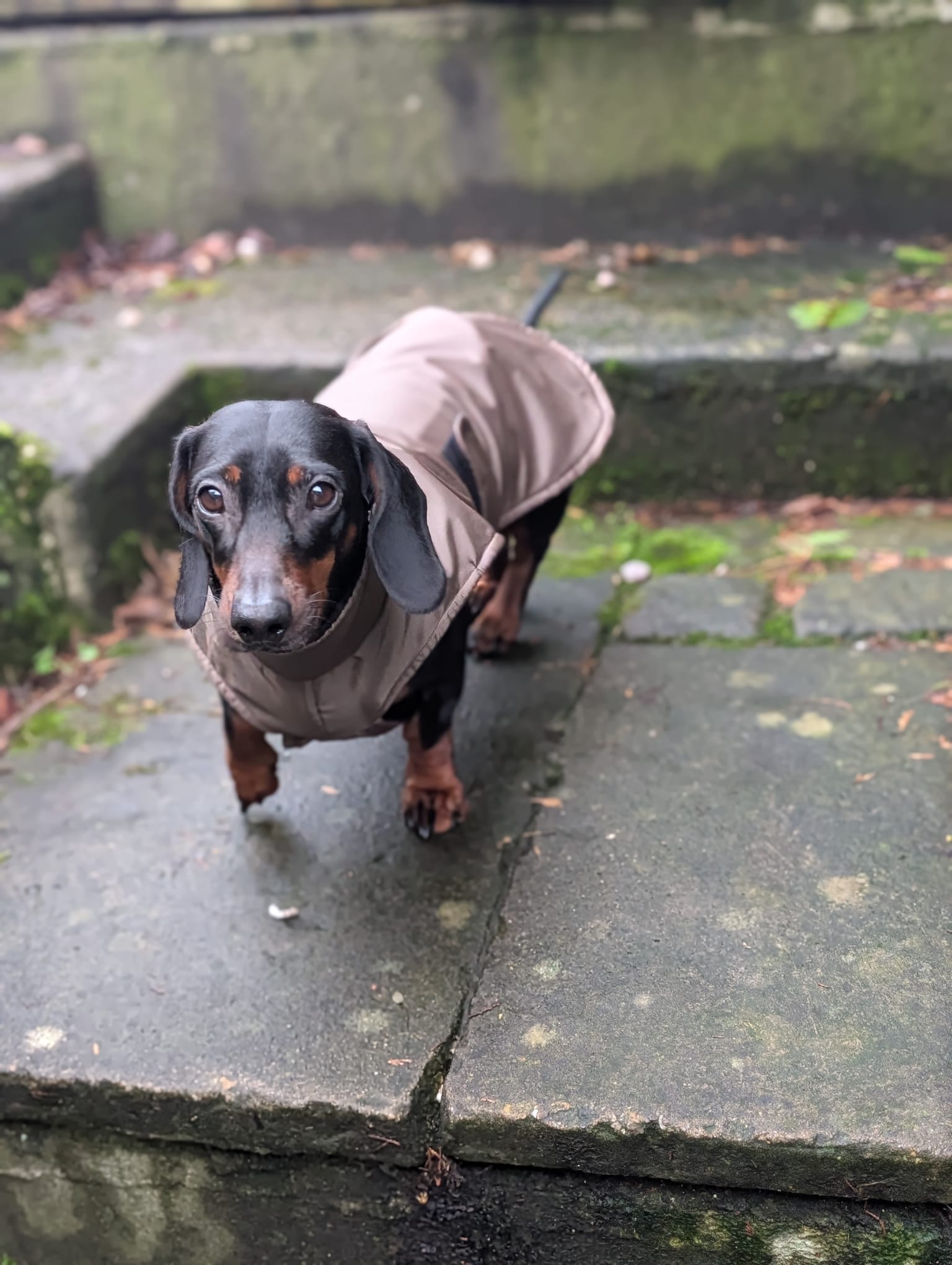 Lightweight raincoat