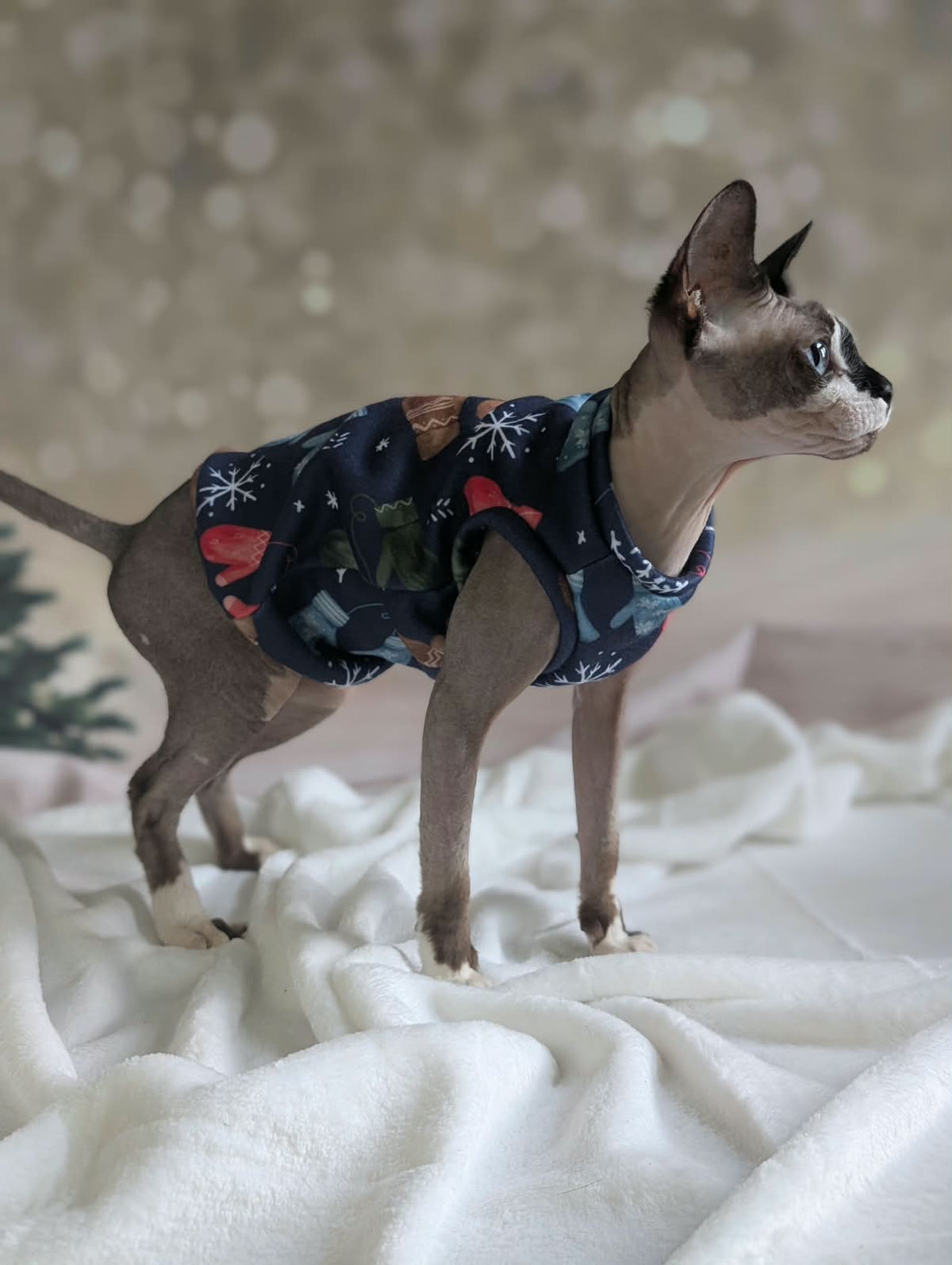 Cat winter jumper
