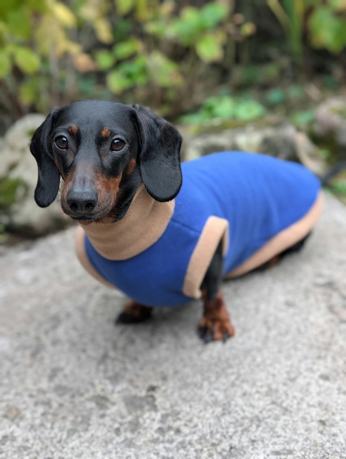 Color block jumper